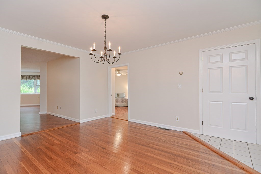 4 Bellingham St.