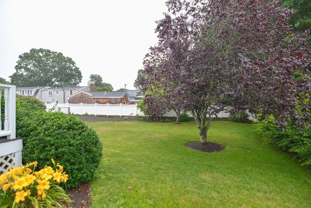 4 Bellingham St.