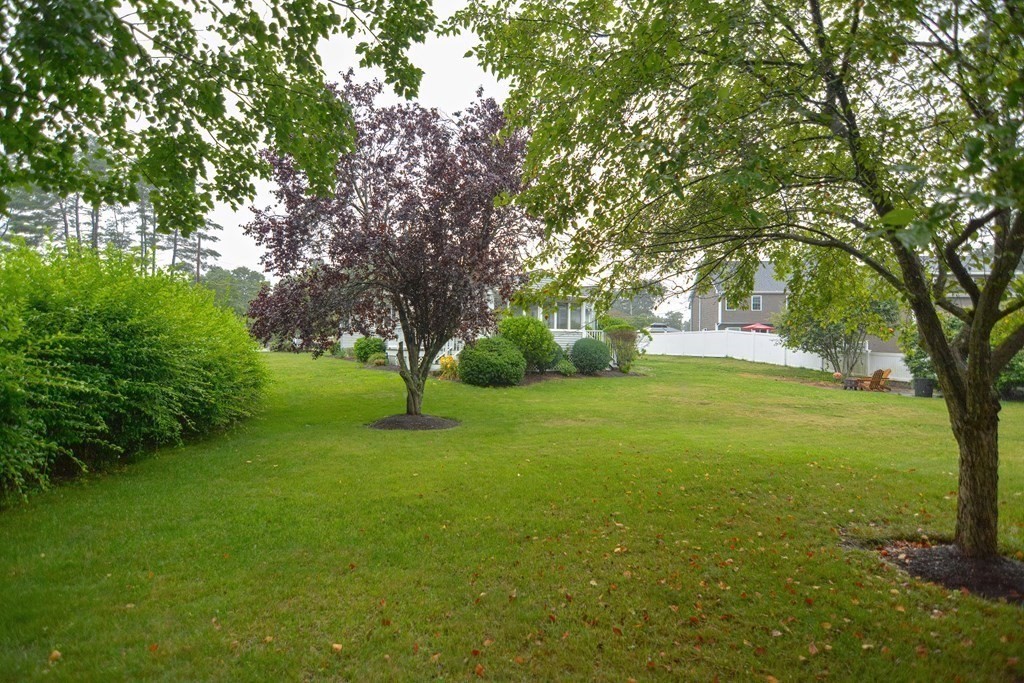 4 Bellingham St.