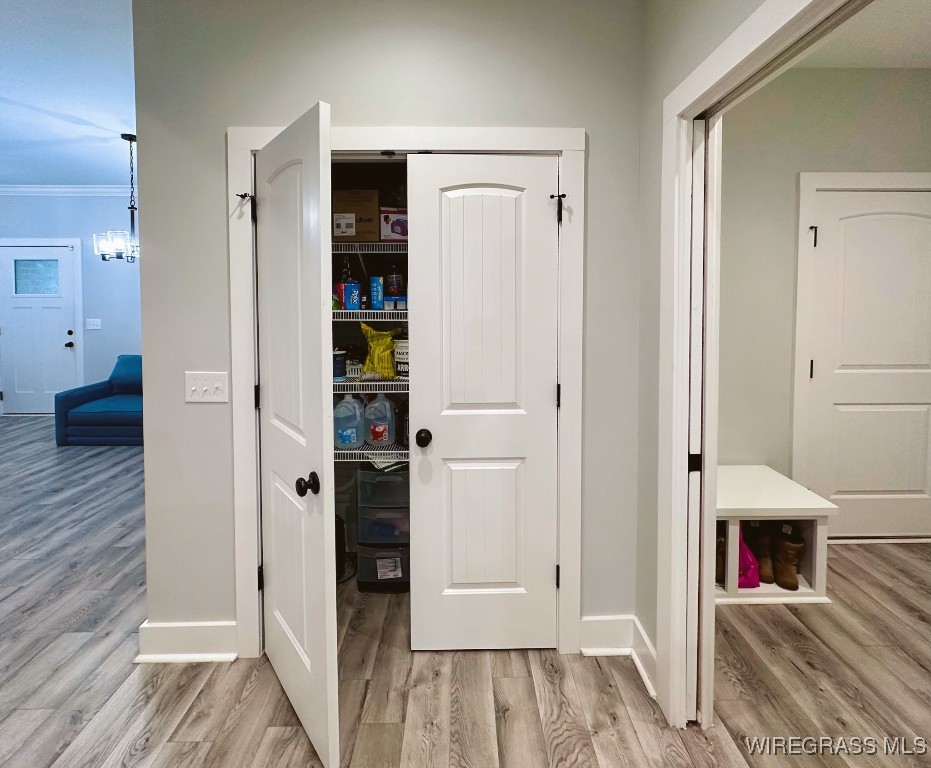 206 Savannah Drive