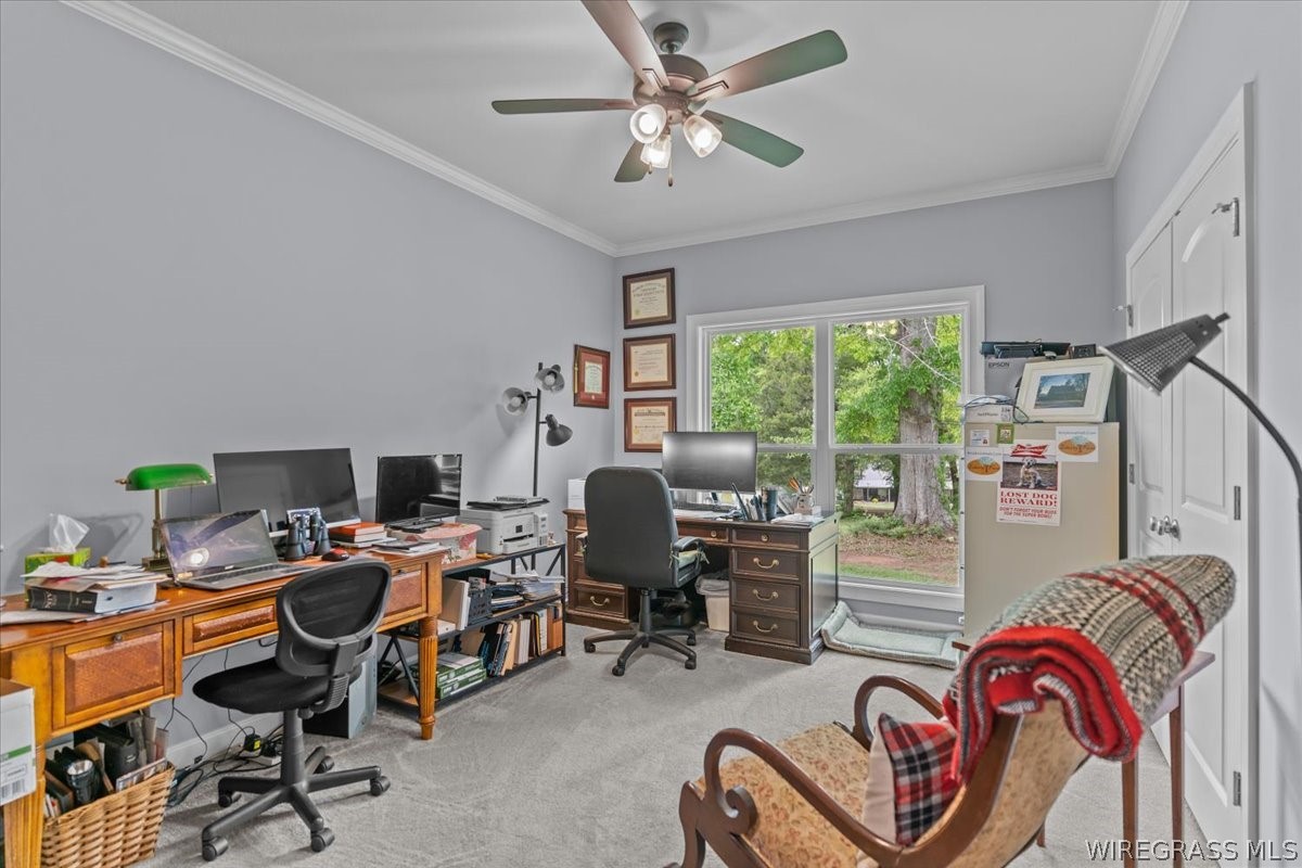 1207 County Road 1 .