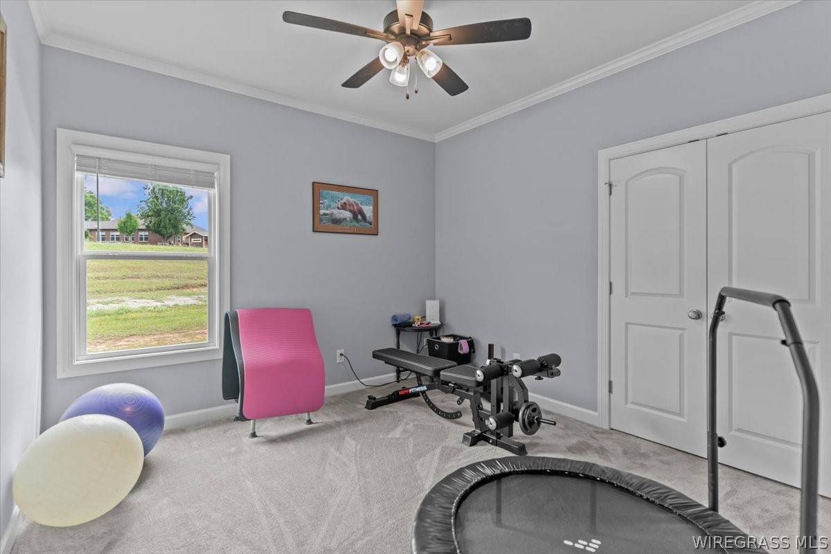 1207 County Road 1 .