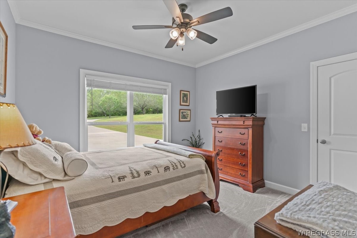 1207 County Road 1 .