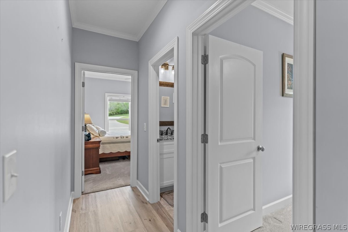 1207 County Road 1 .