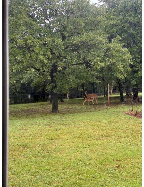 3709 Northwestern Drive