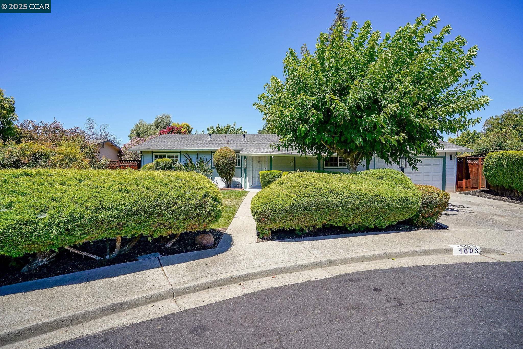 1603 Laverne Way