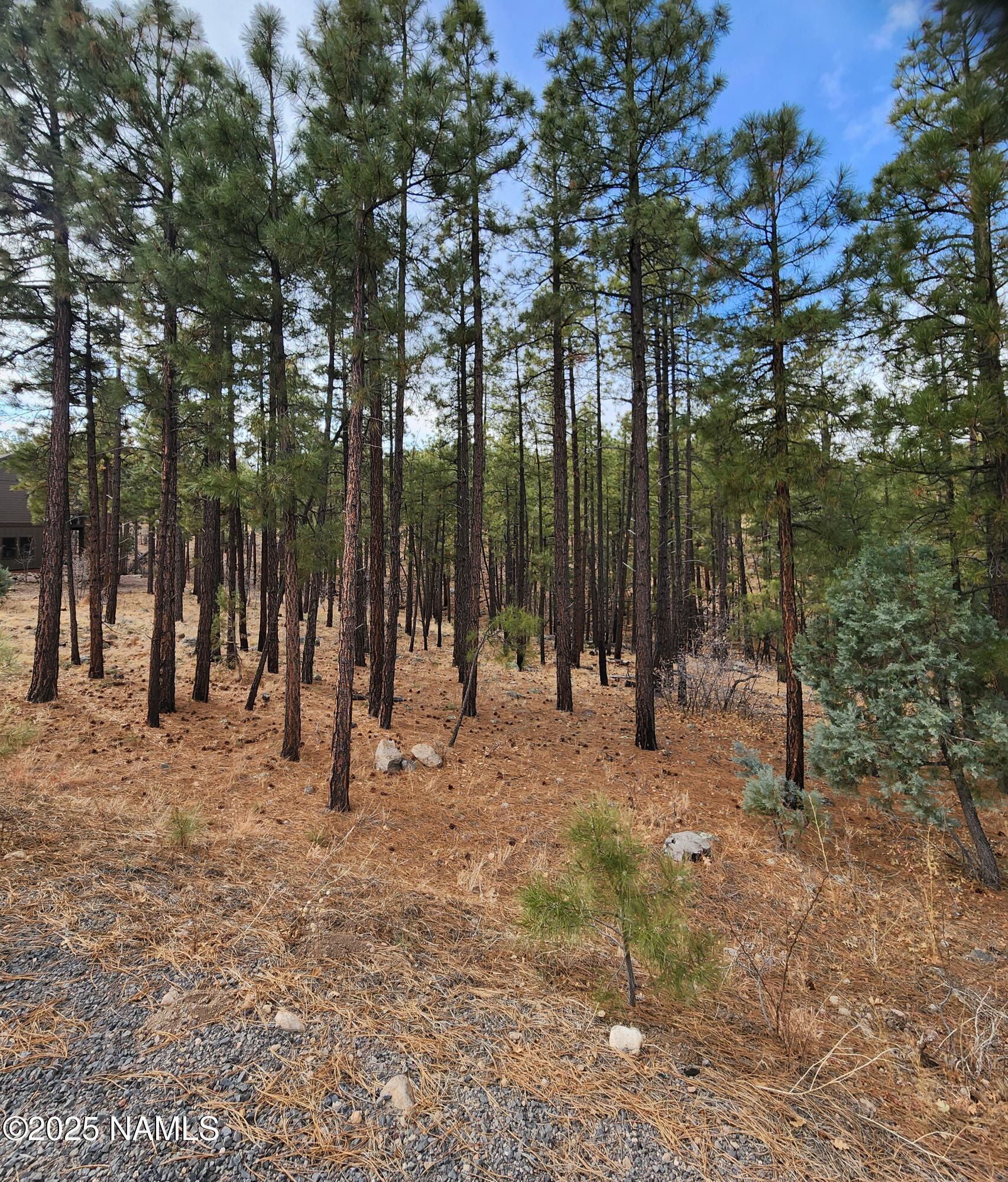 1256 Timbernook Crossing, 16