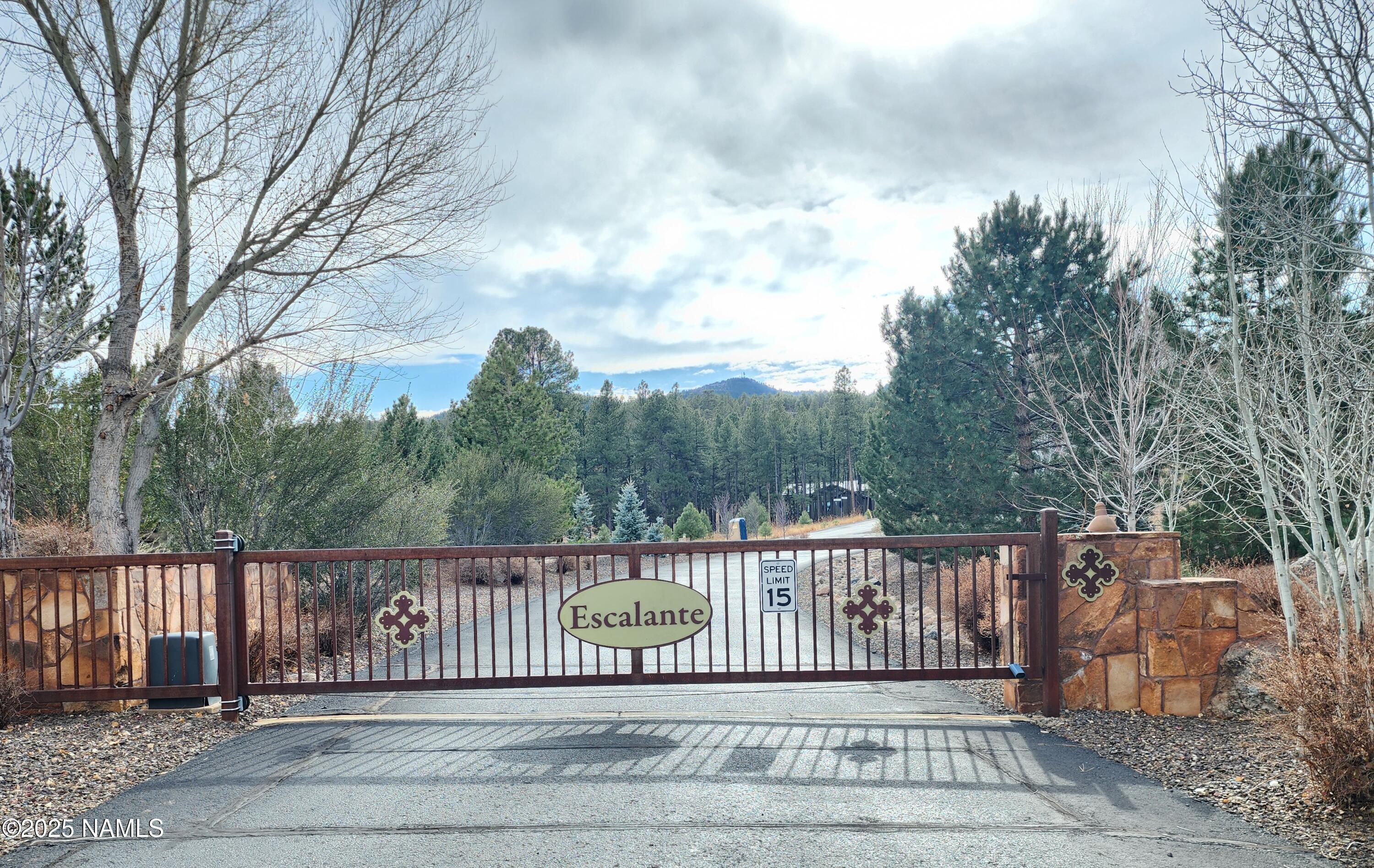 1256 Timbernook Crossing, 16