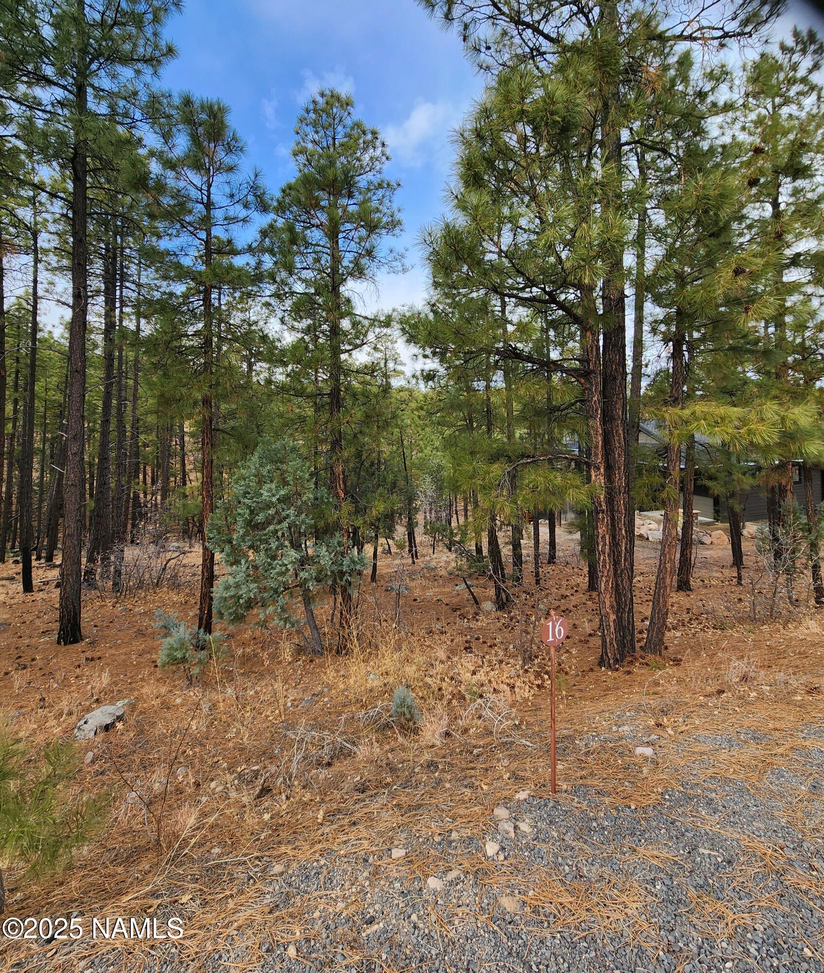 1256 Timbernook Crossing, 16
