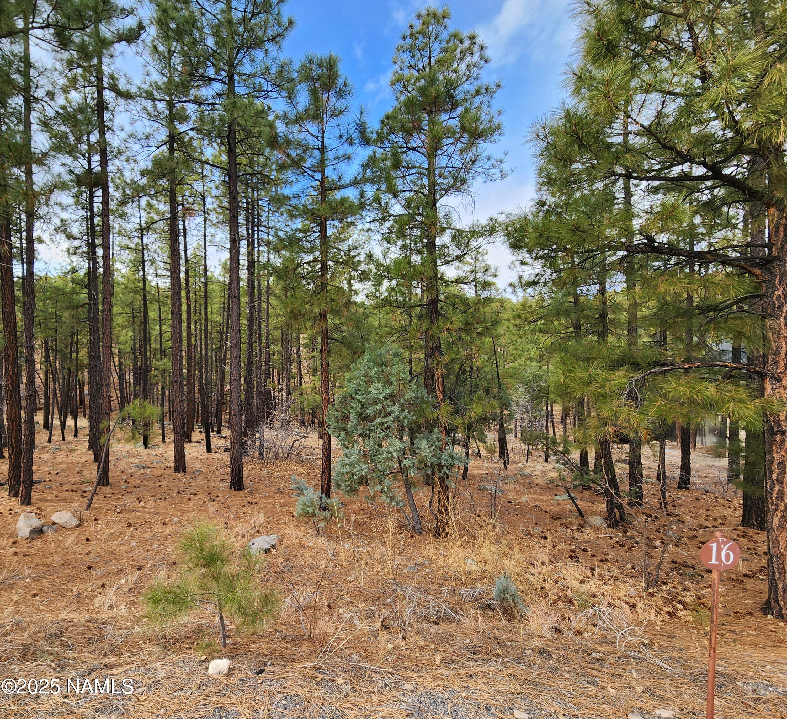 1256 Timbernook Crossing, 16
