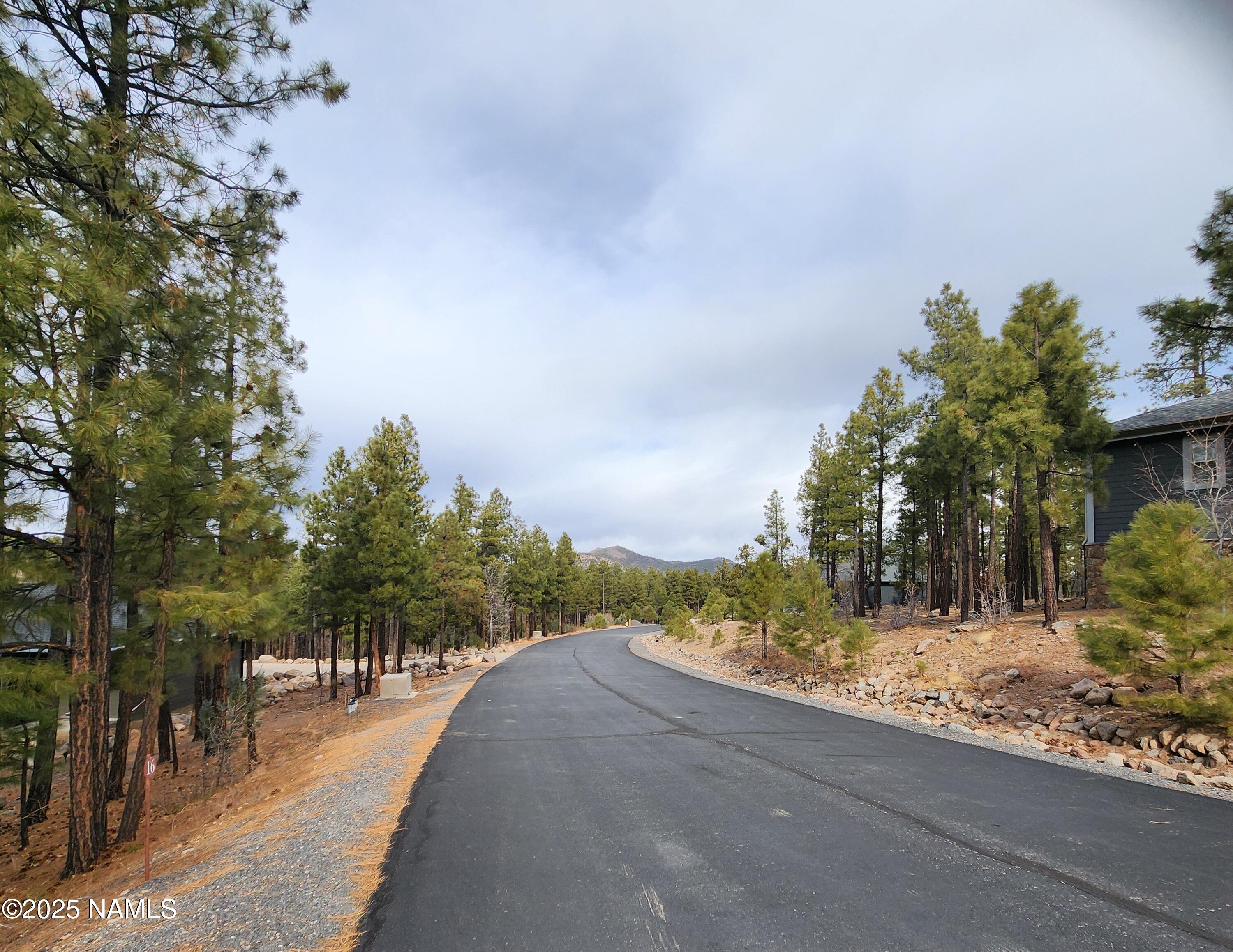 1256 Timbernook Crossing, 16