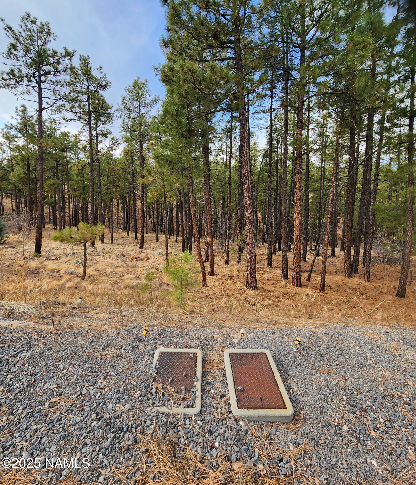 1256 Timbernook Crossing, 16