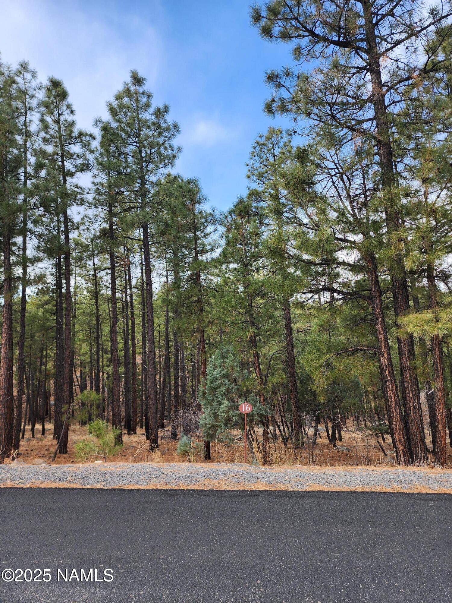1256 Timbernook Crossing, 16
