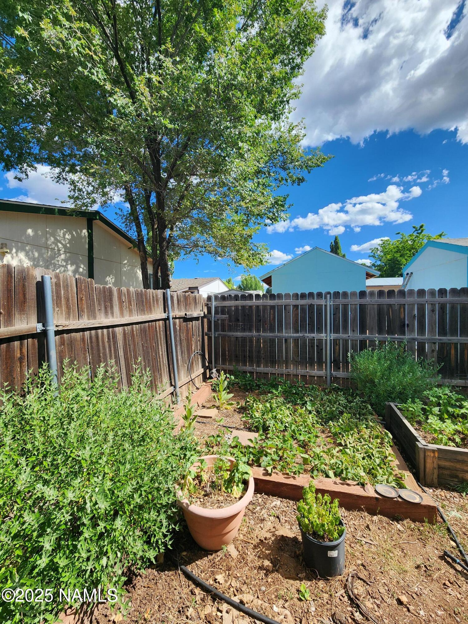 1450 W Kaibab Lane, 62