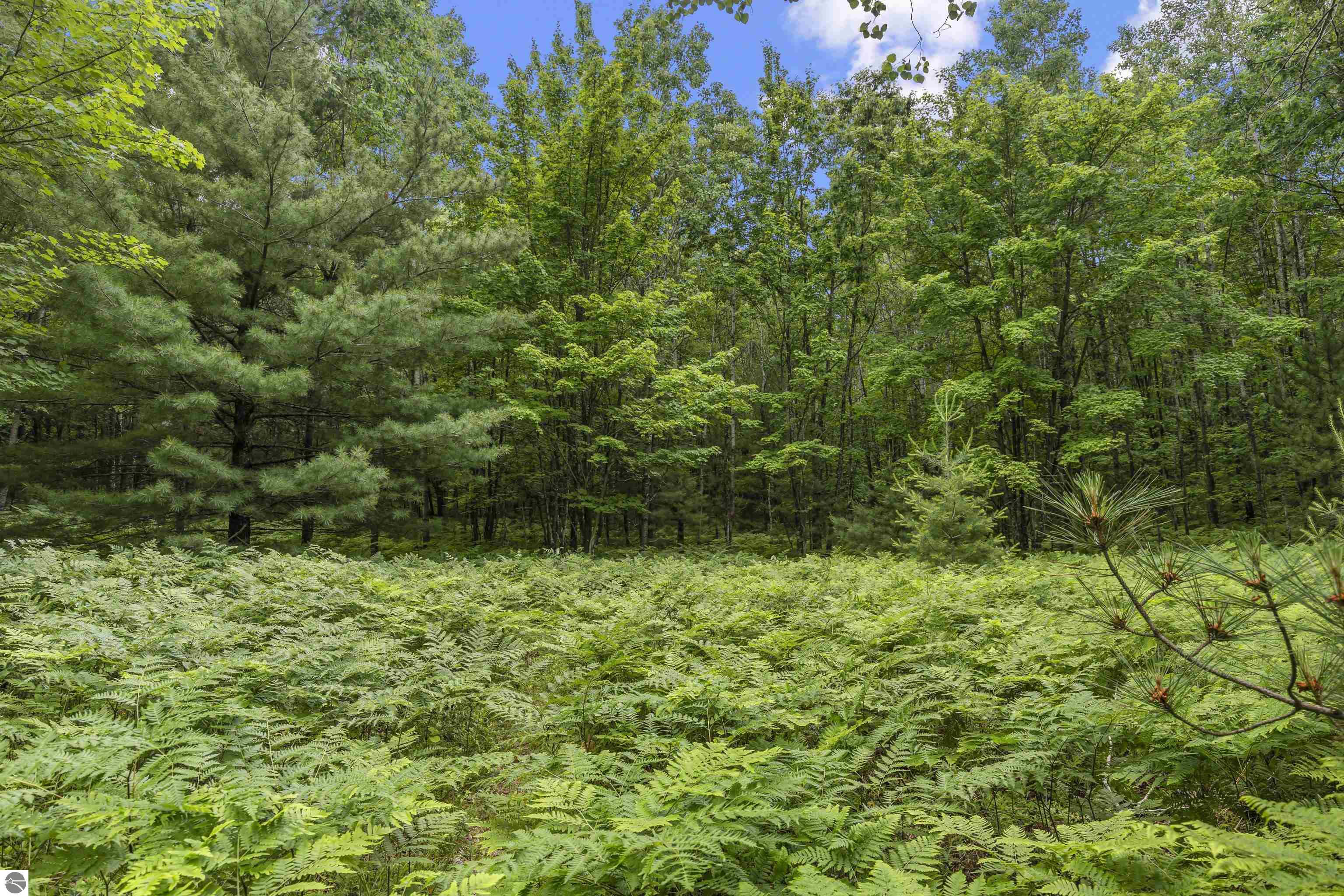 Lot 61 Bramblewood Drive