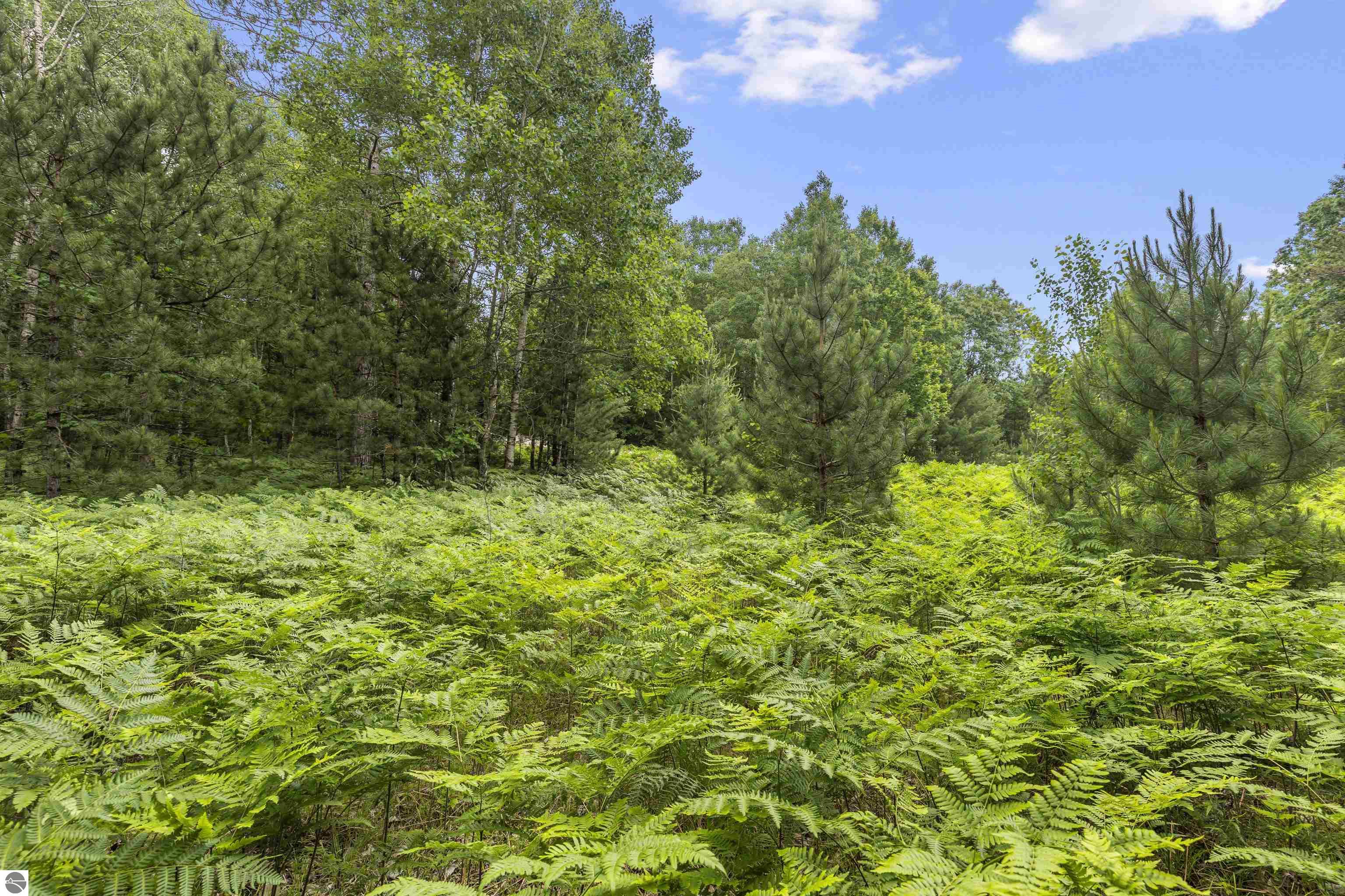 Lot 61 Bramblewood Drive