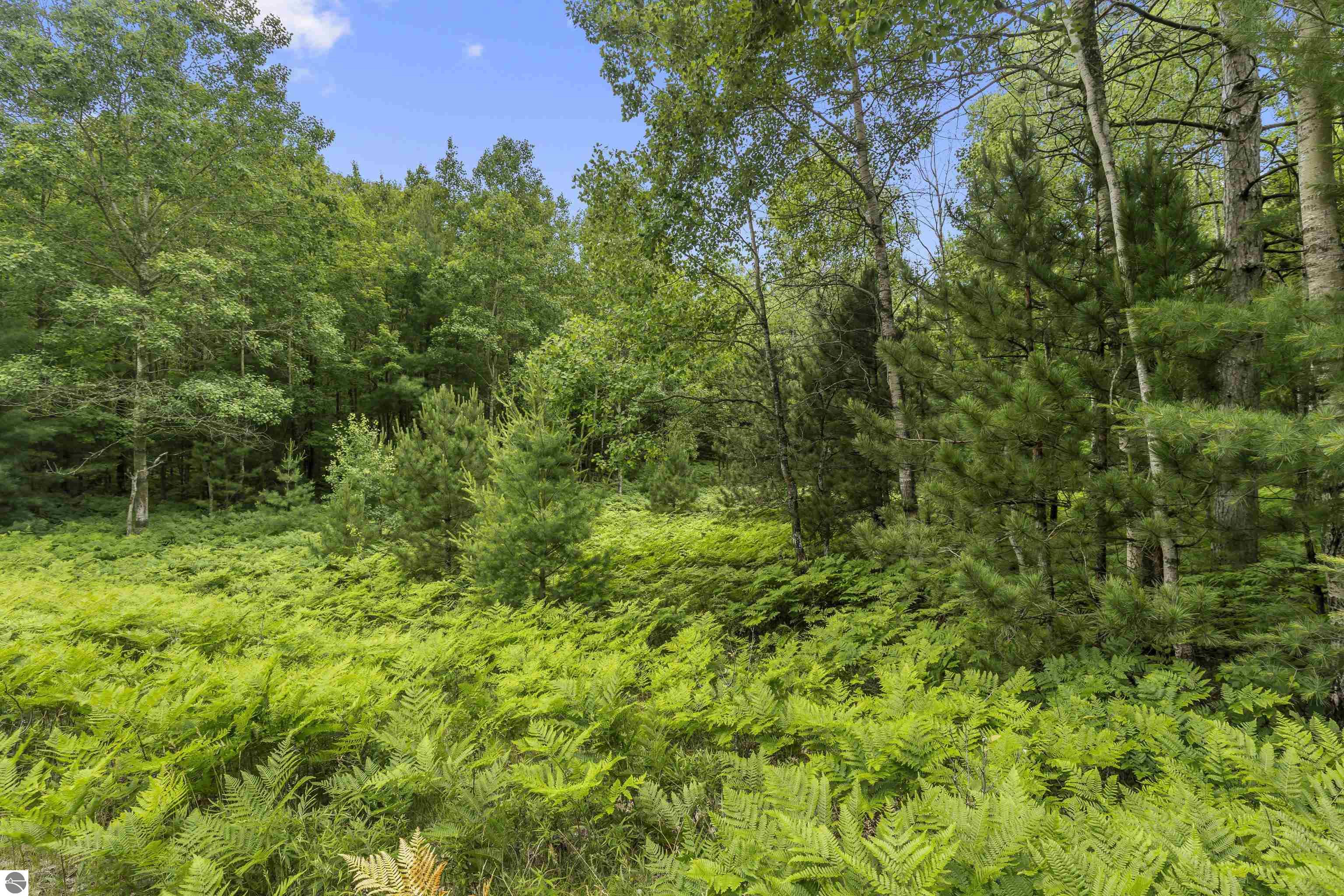 Lot 61 Bramblewood Drive