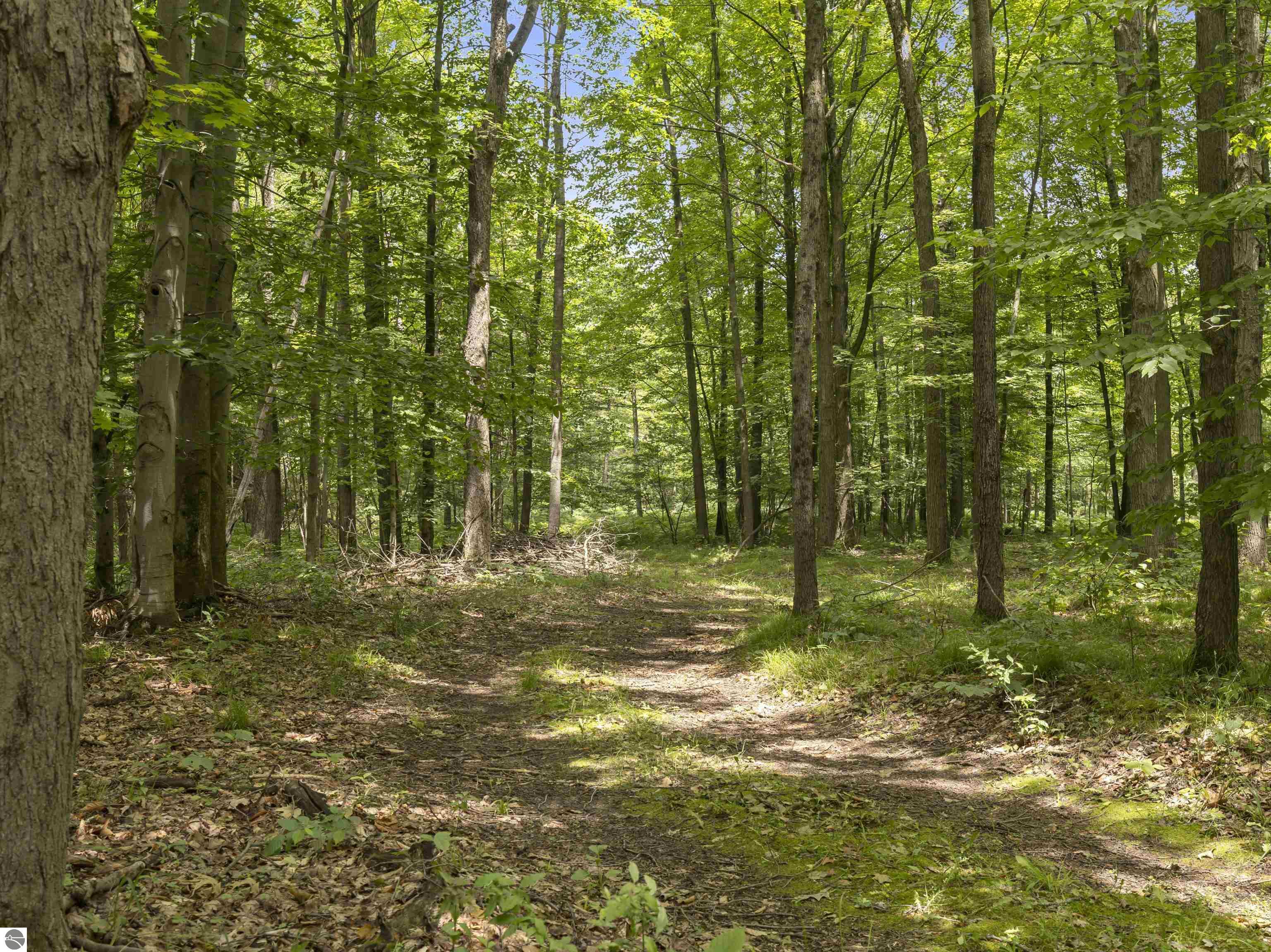 8536 E 5 Mile Road