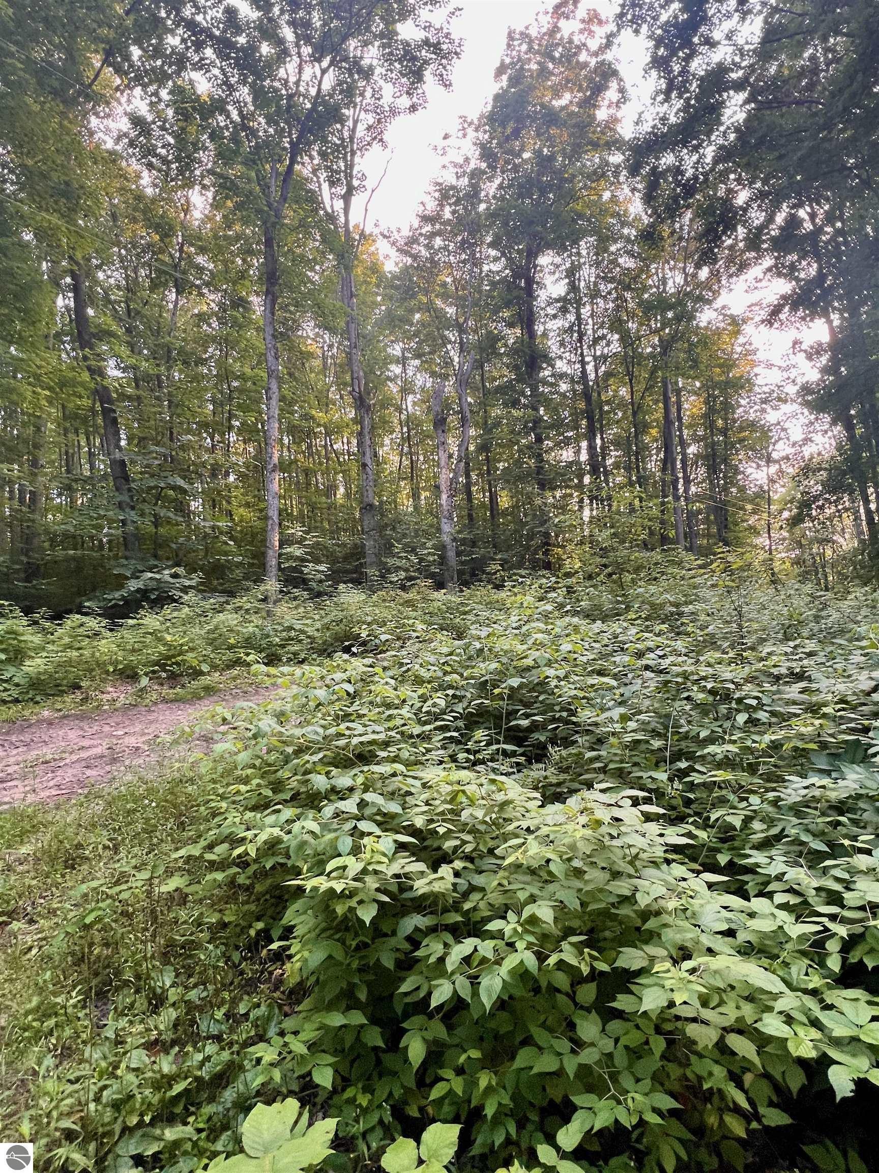 520 E Moorestown Road