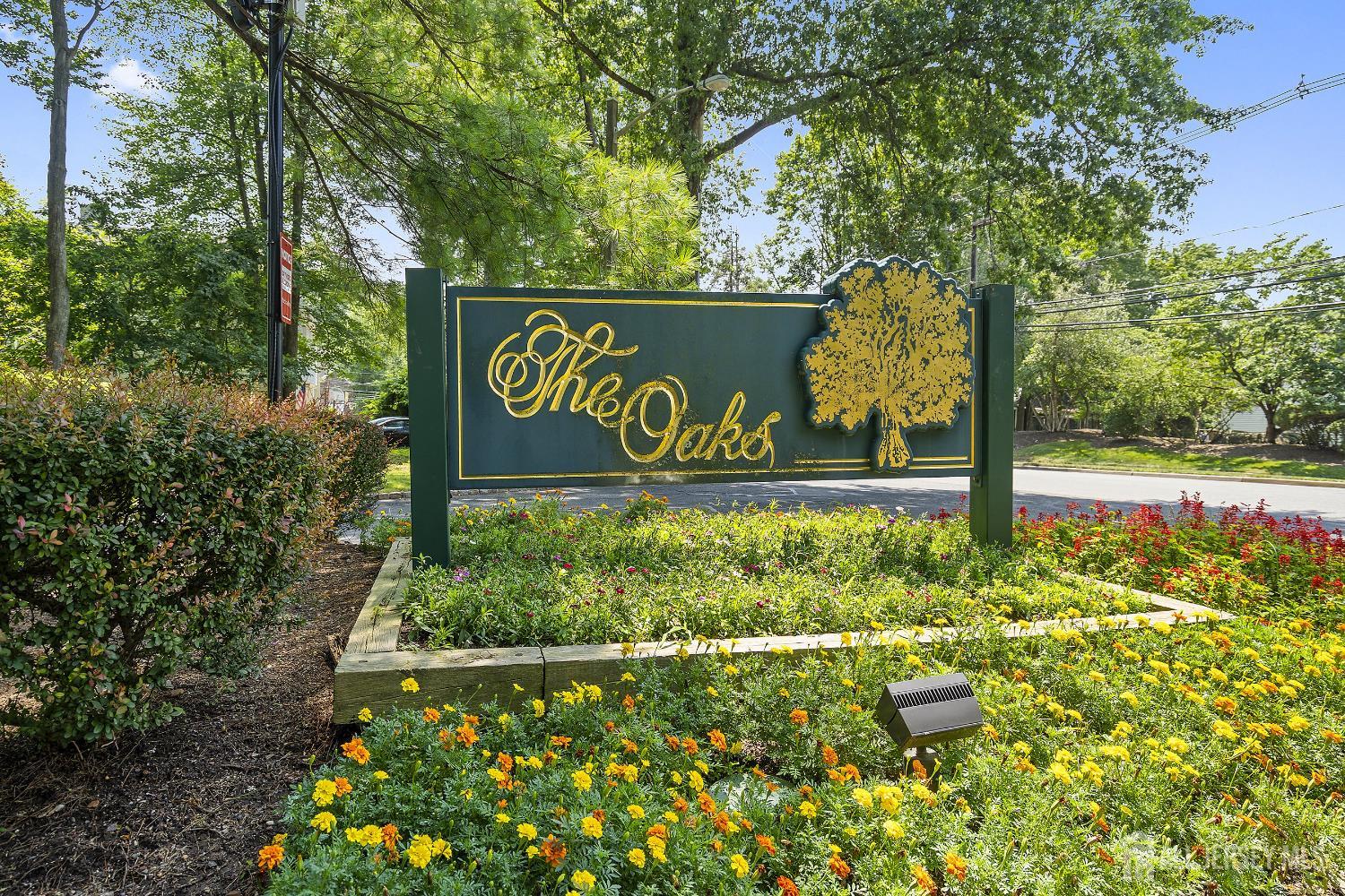 804 Timber Oaks Road