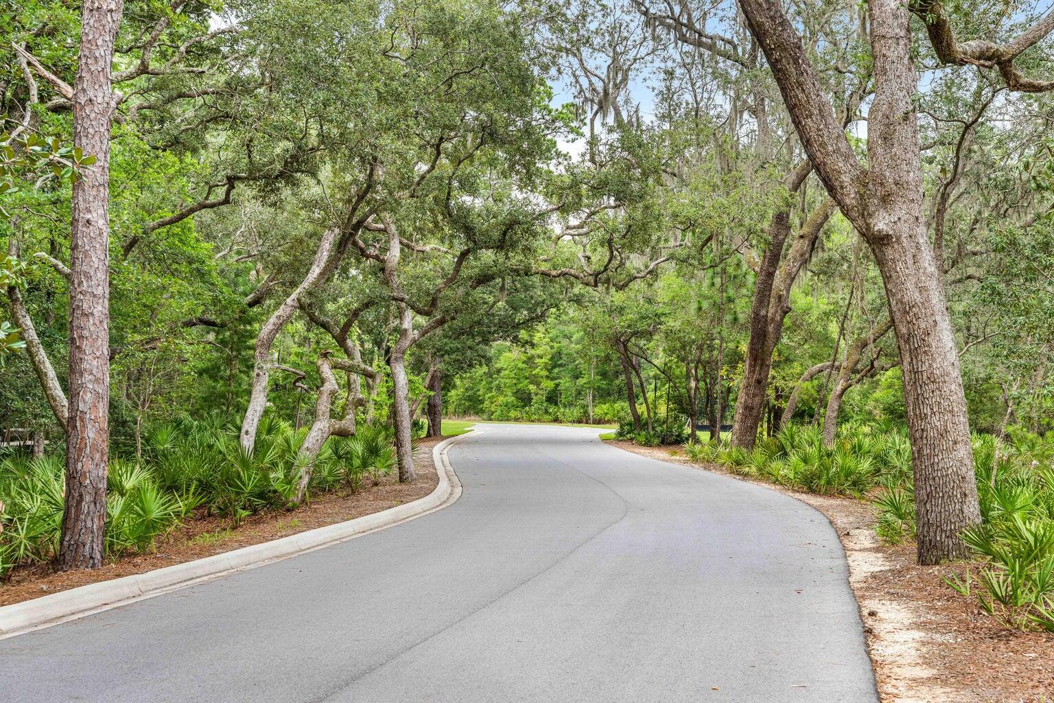275 Mango Lane