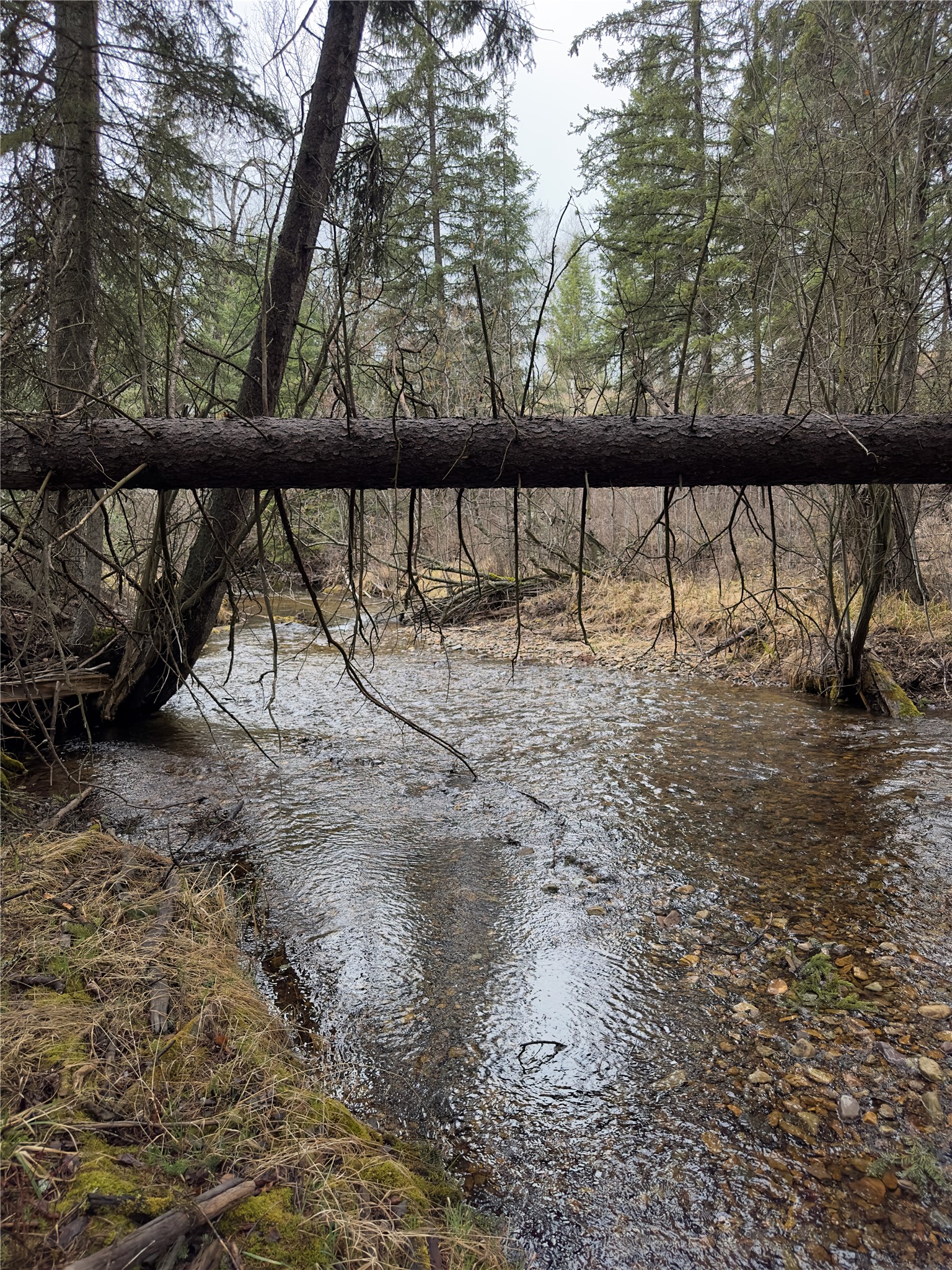 905 Deep Creek Road