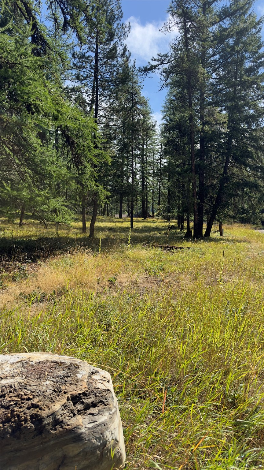 NHN Forest Loop