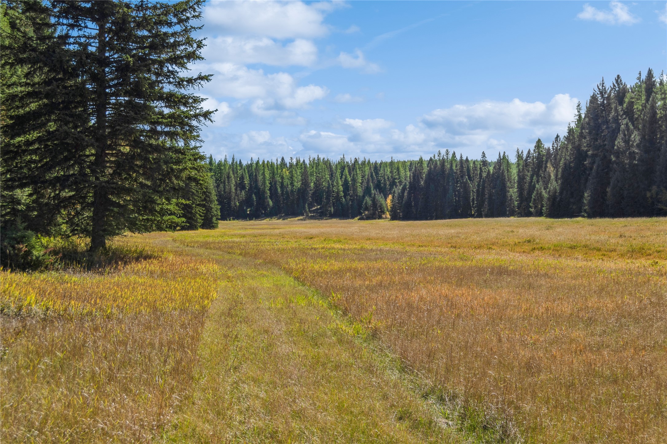 3217 Loon Lake Road