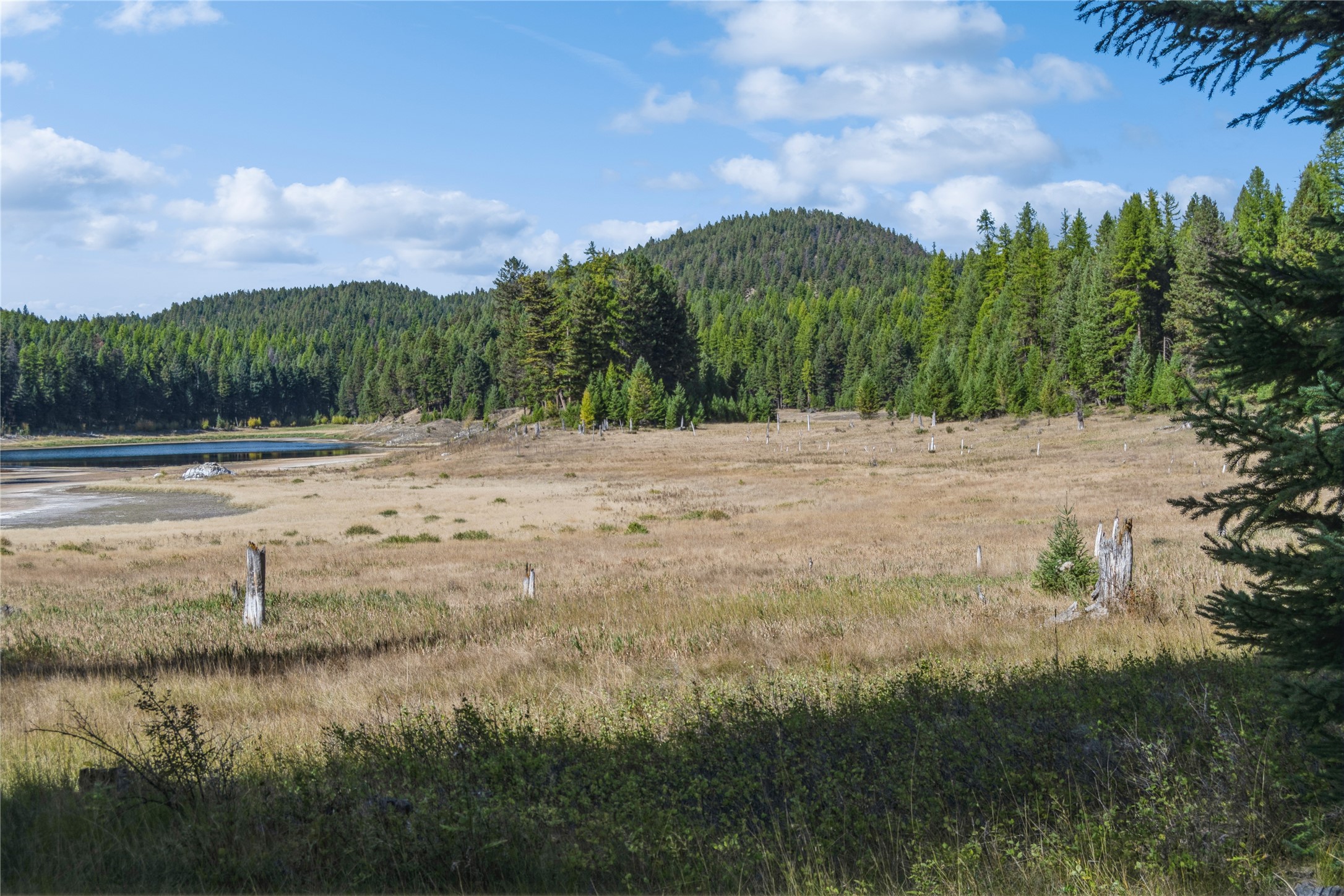 3217 Loon Lake Road