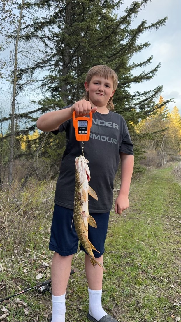 4964 Us Highway 93 S