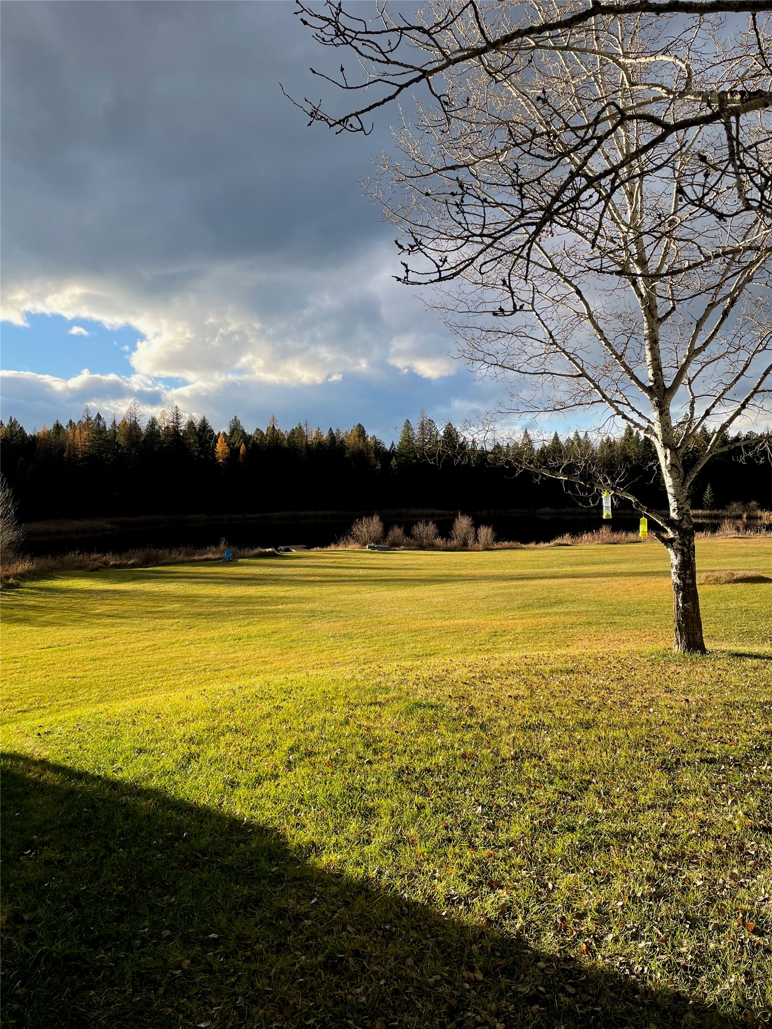 4964 Us Highway 93 S