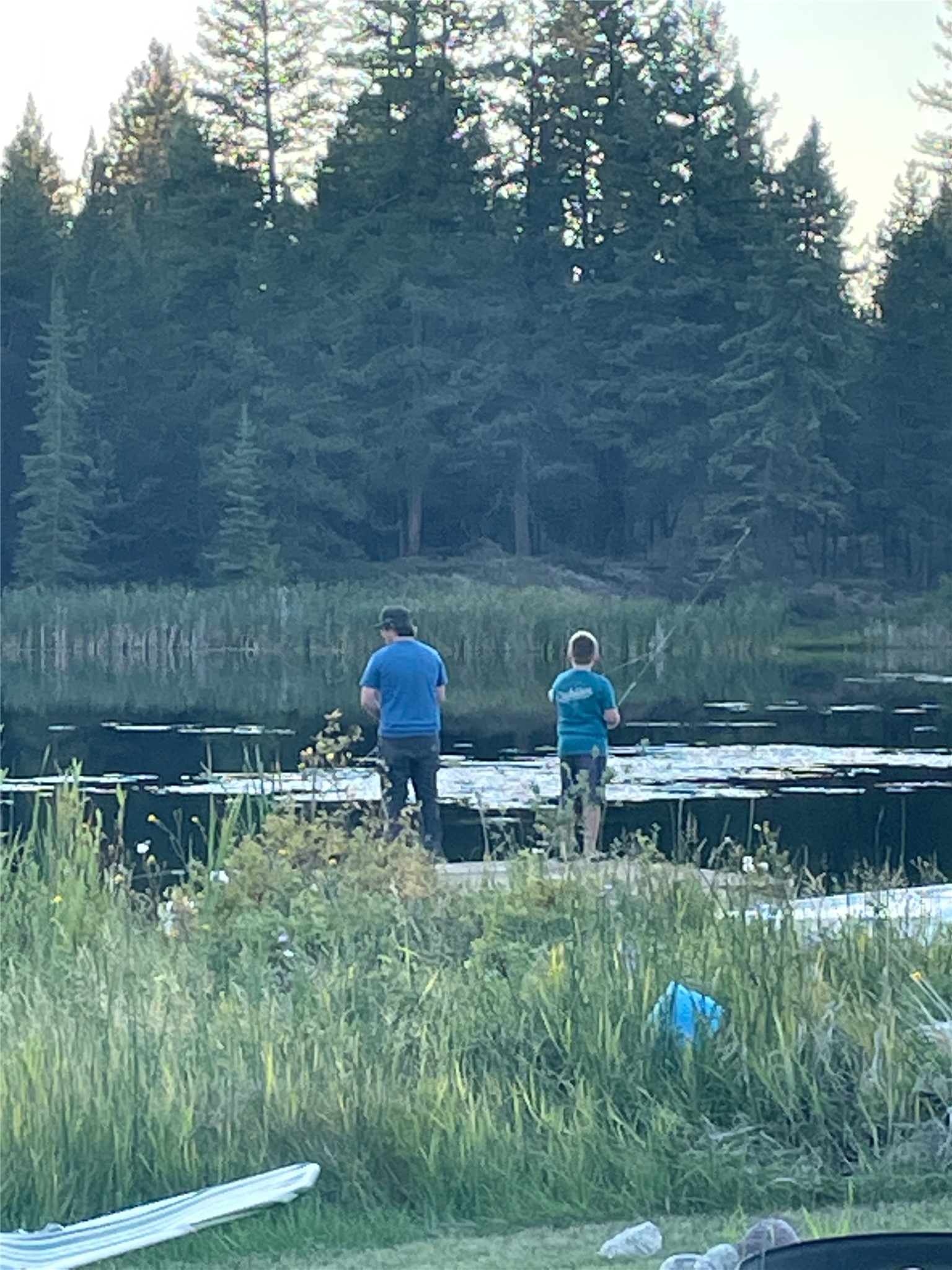 4964 Us Highway 93 S