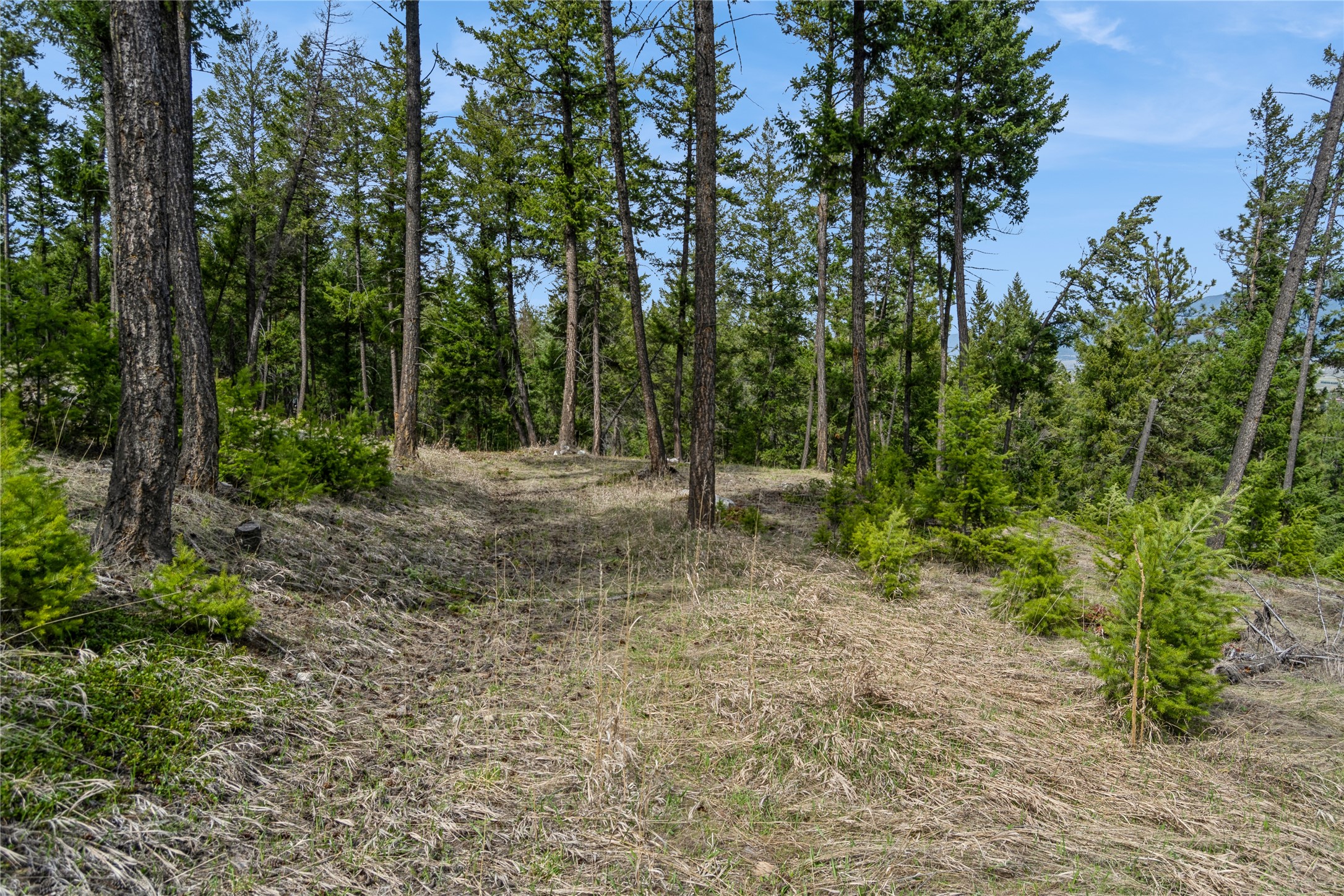 NHN Tobacco Valley View Road