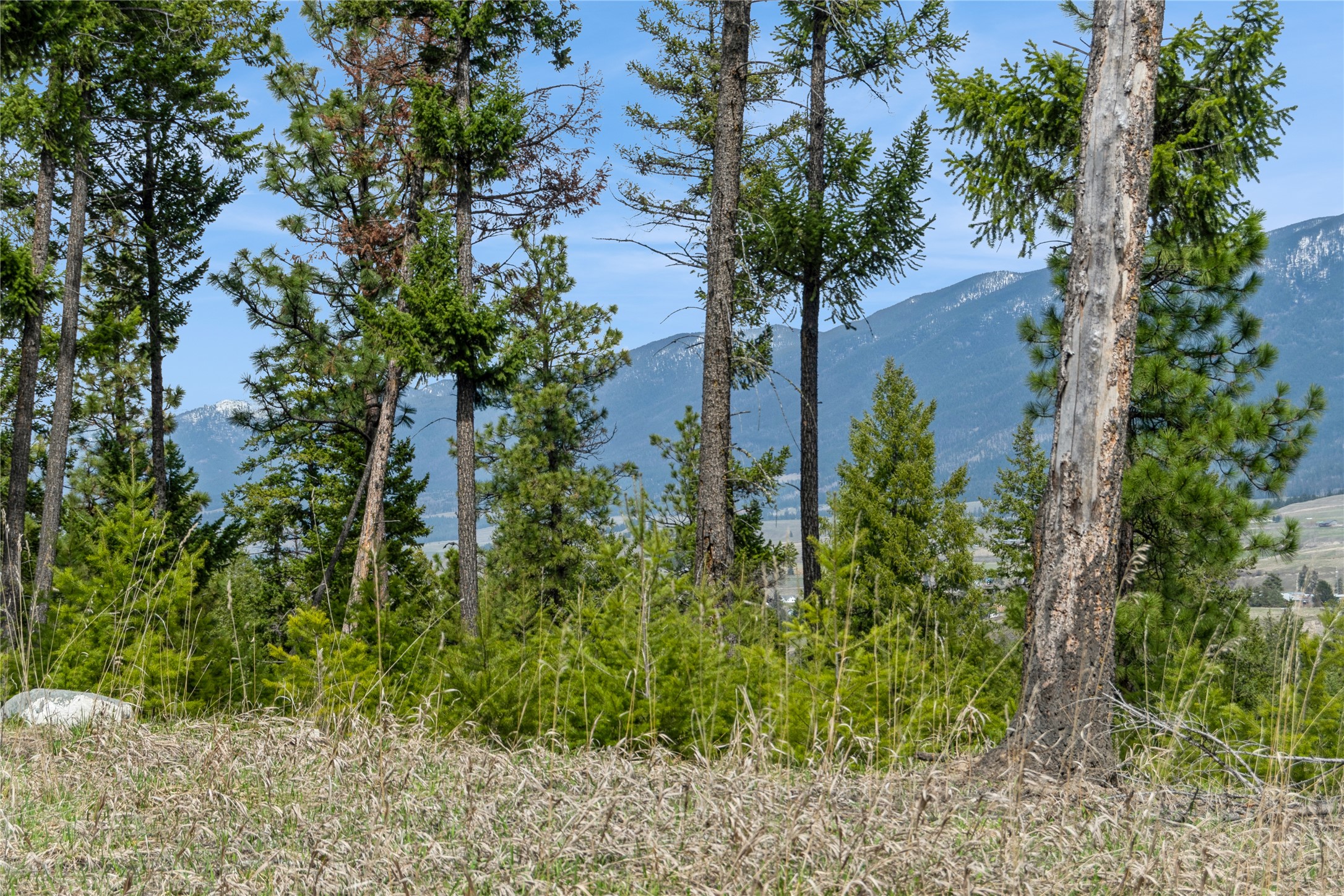 NHN Tobacco Valley View Road