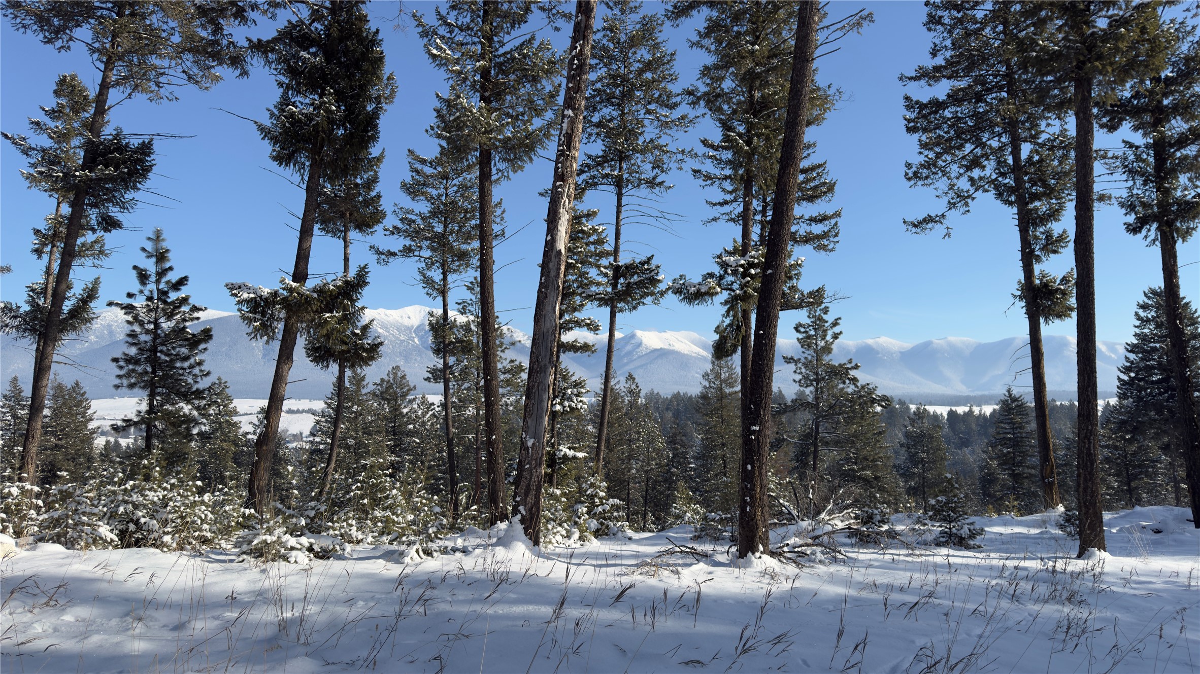 NHN Tobacco Valley View Road