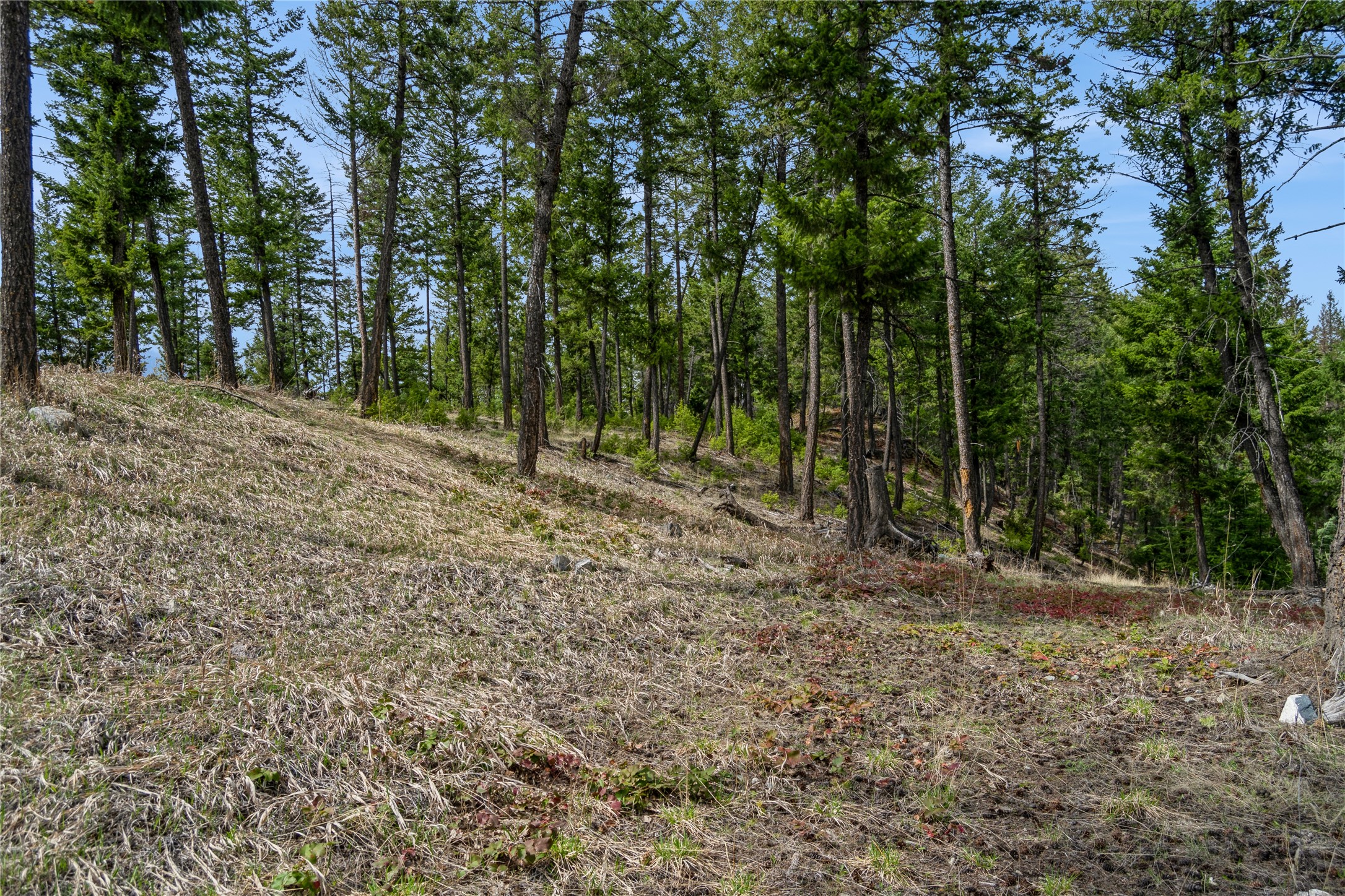 NHN Tobacco Valley View Road