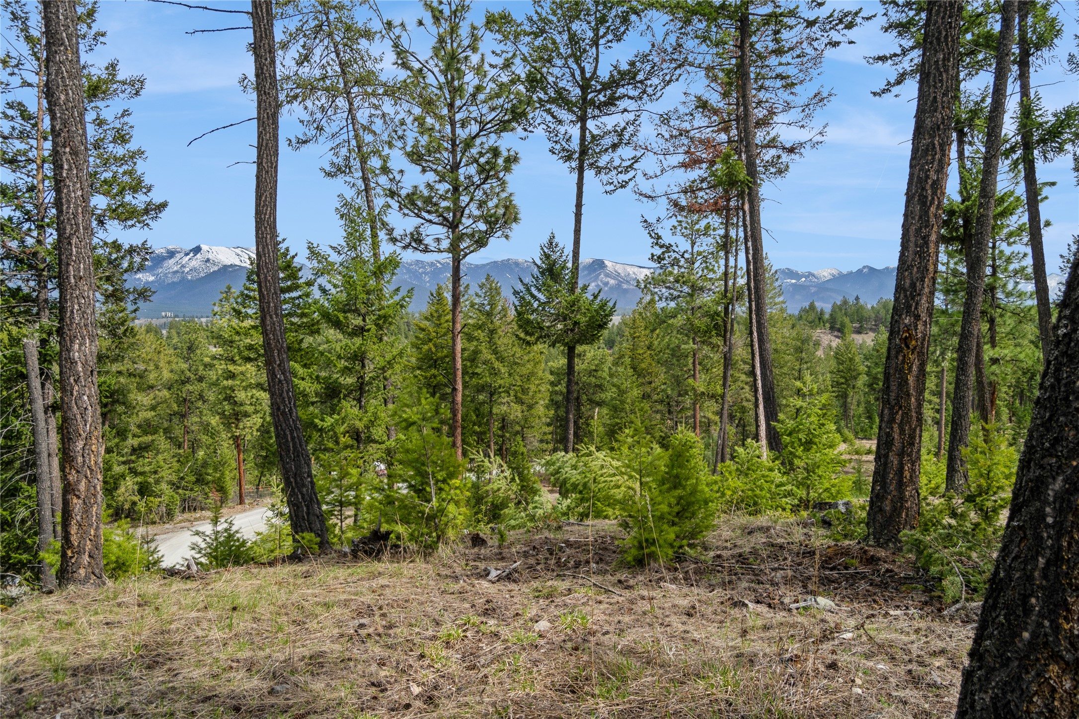 NHN Tobacco Valley View Road