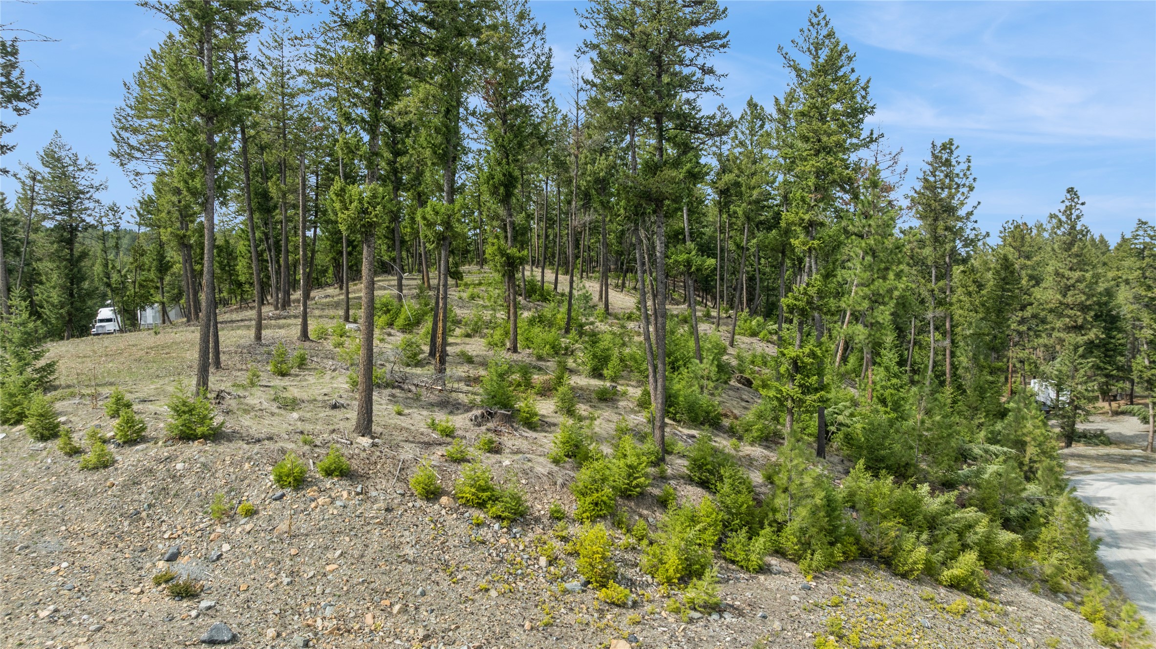 NHN Tobacco Valley View Road