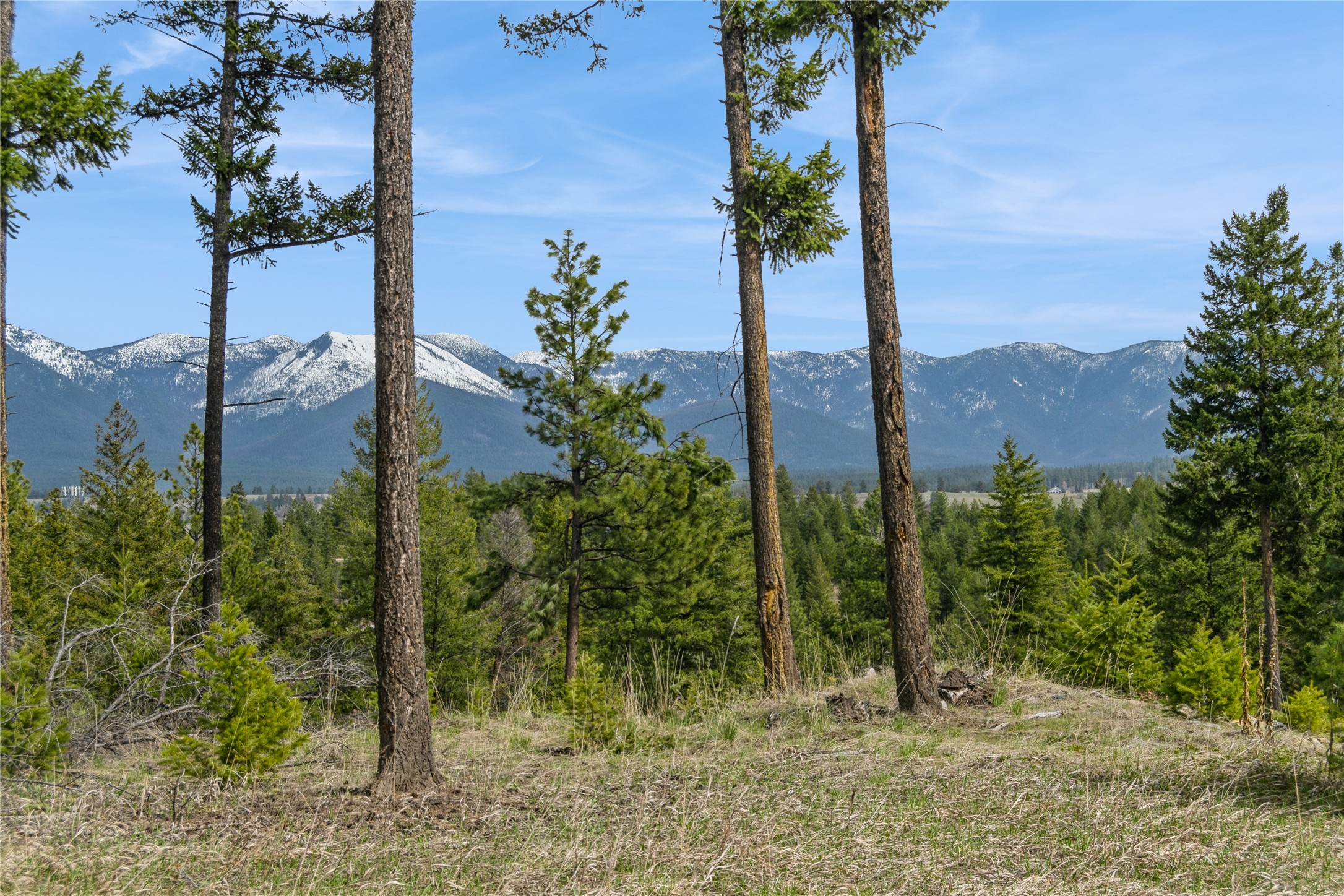 NHN Tobacco Valley View Road