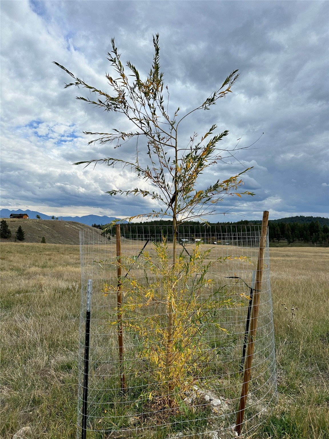 Lot 4 Scenery Hill Drive