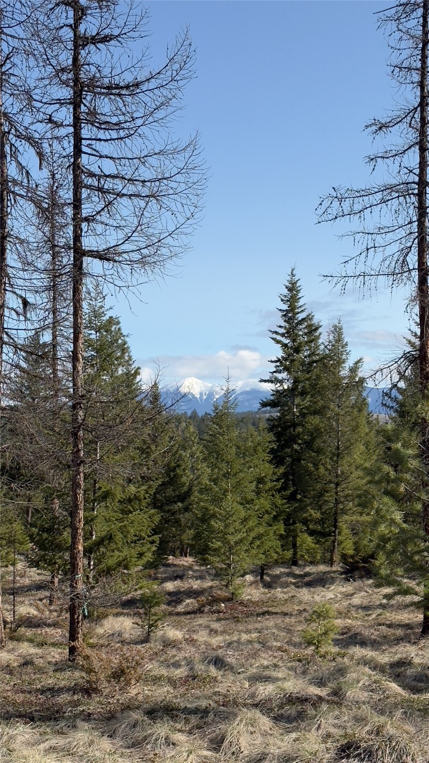 TBD Kootenai Echo Trail