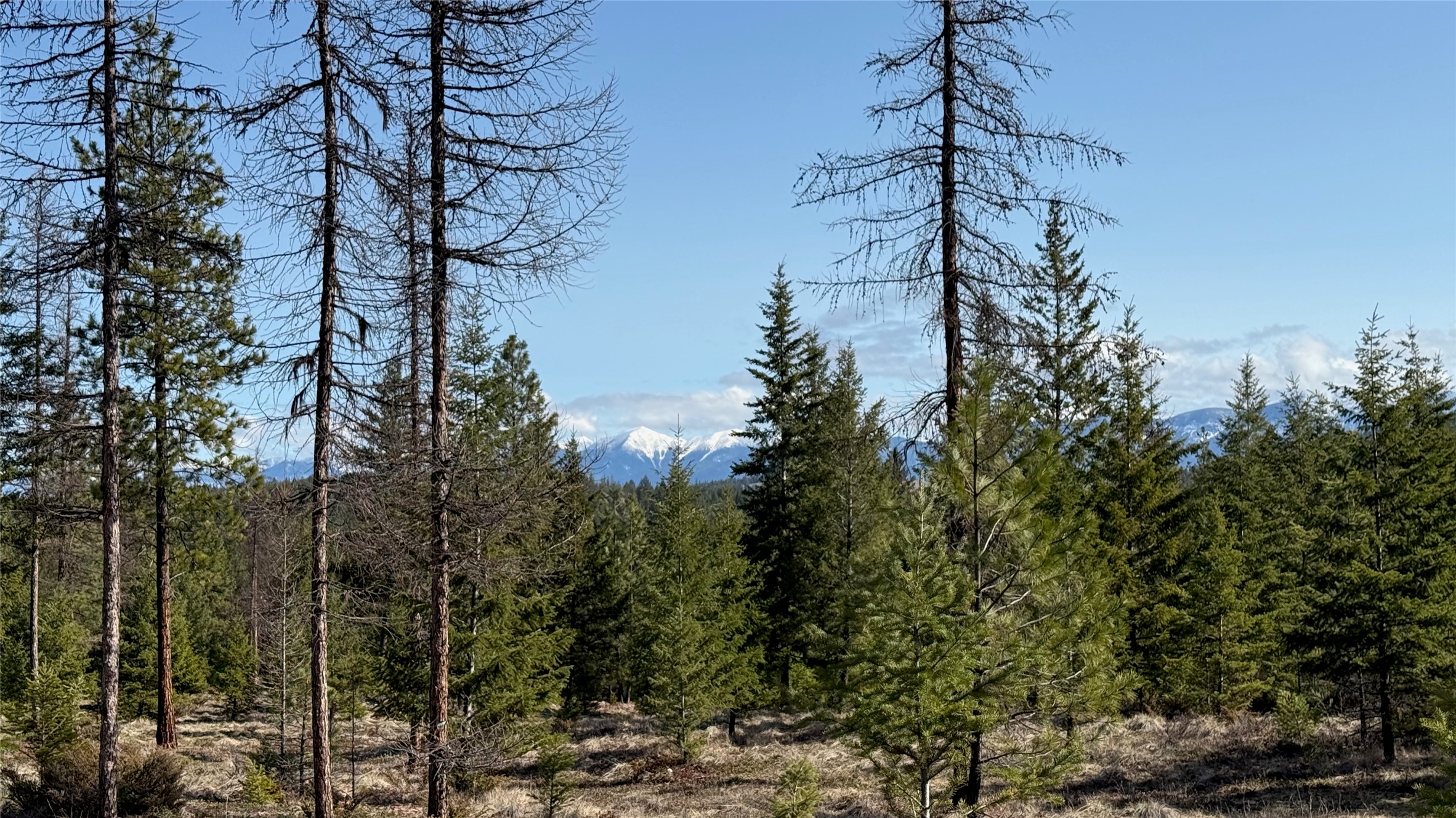 TBD Kootenai Echo Trail