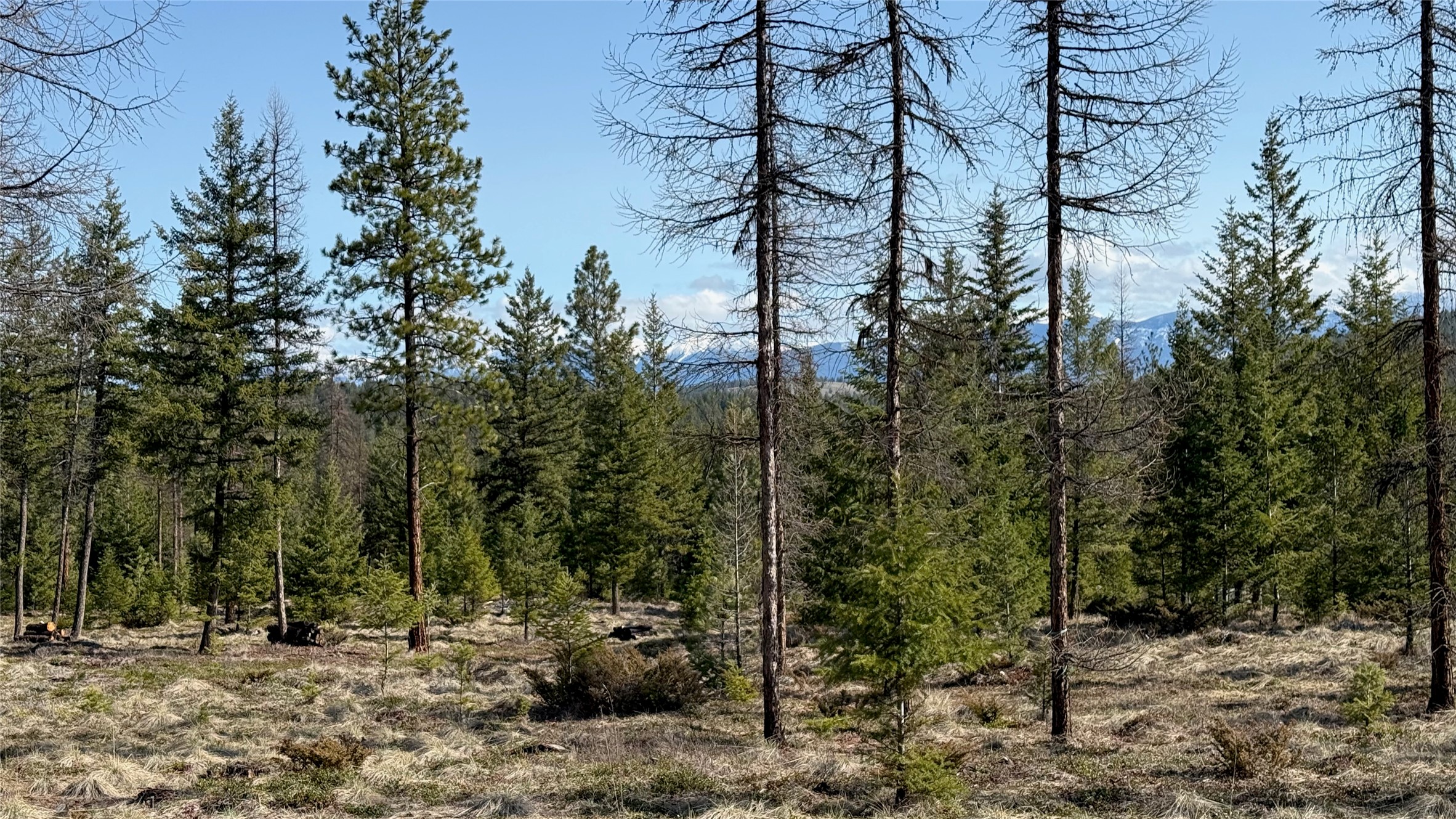 TBD Kootenai Echo Trail