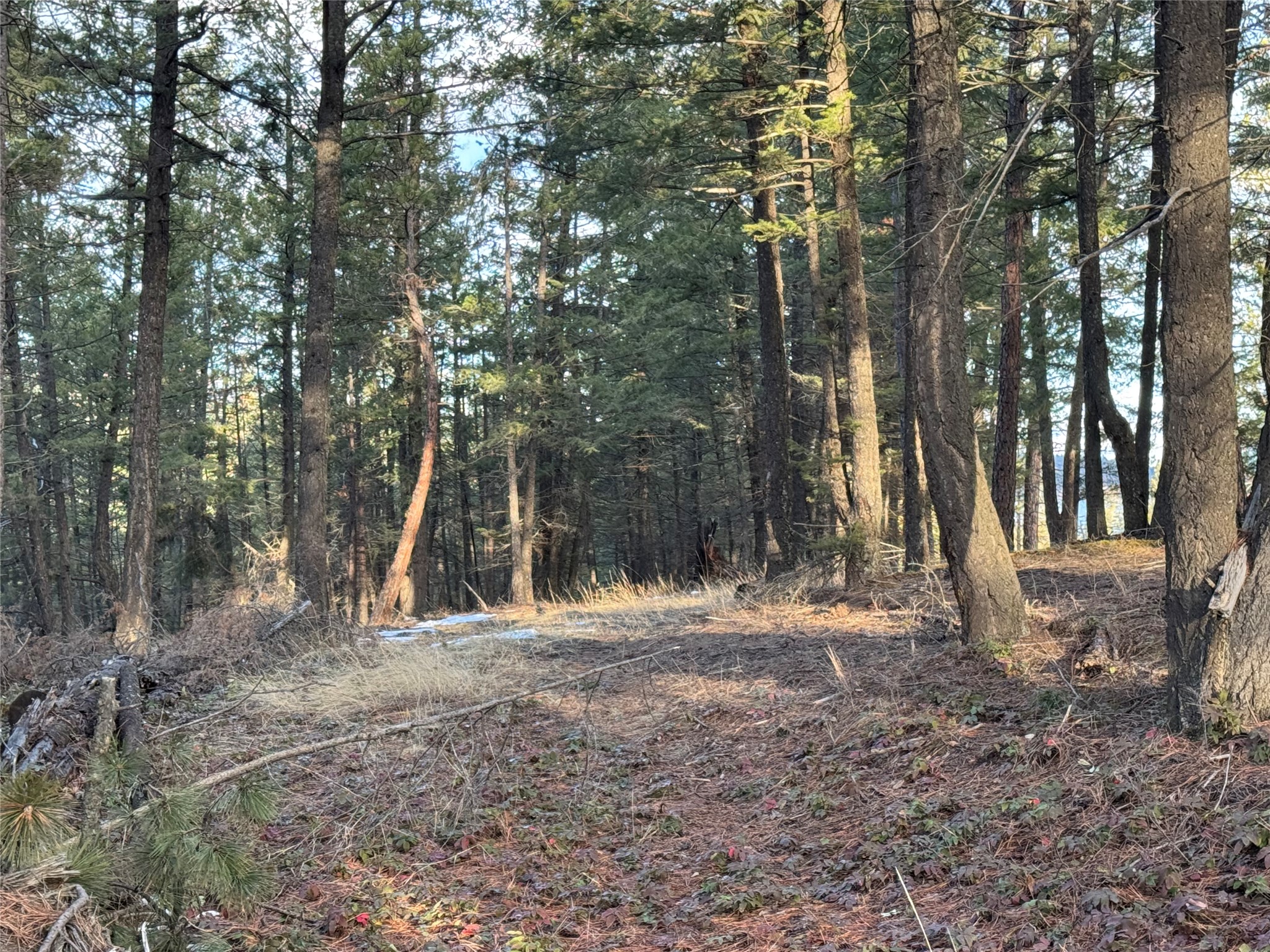 NHN Sorenson Lane