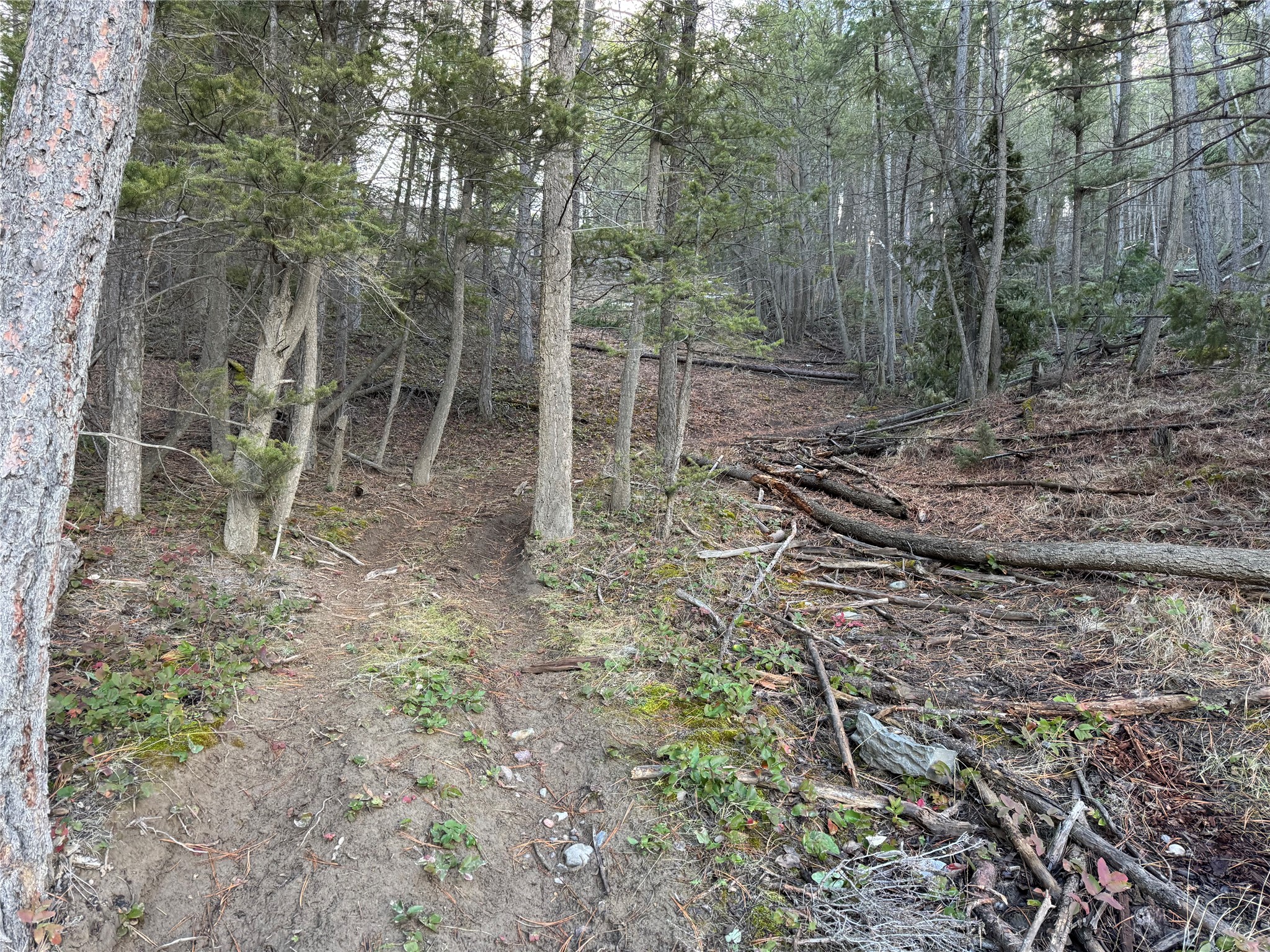 NHN Sorenson Lane