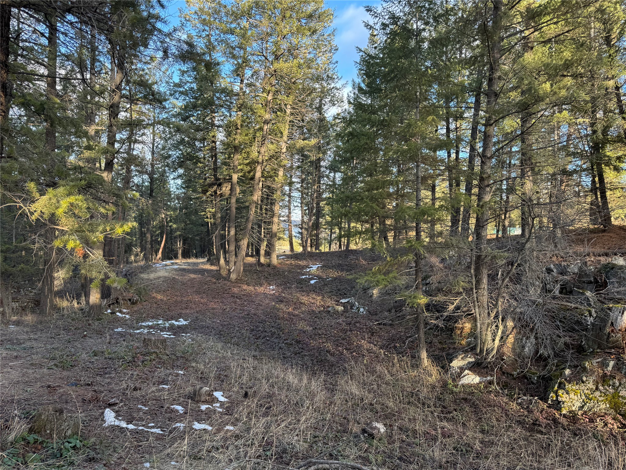 NHN Sorenson Lane