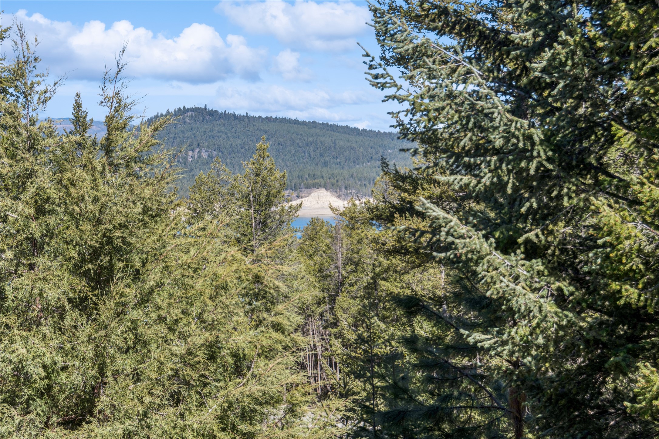 161 Ridge Loop Road