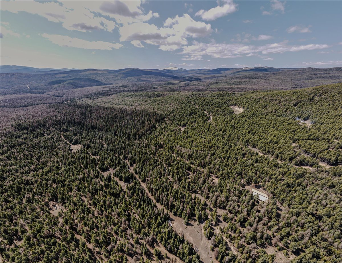 308 E Edna Mountain Road