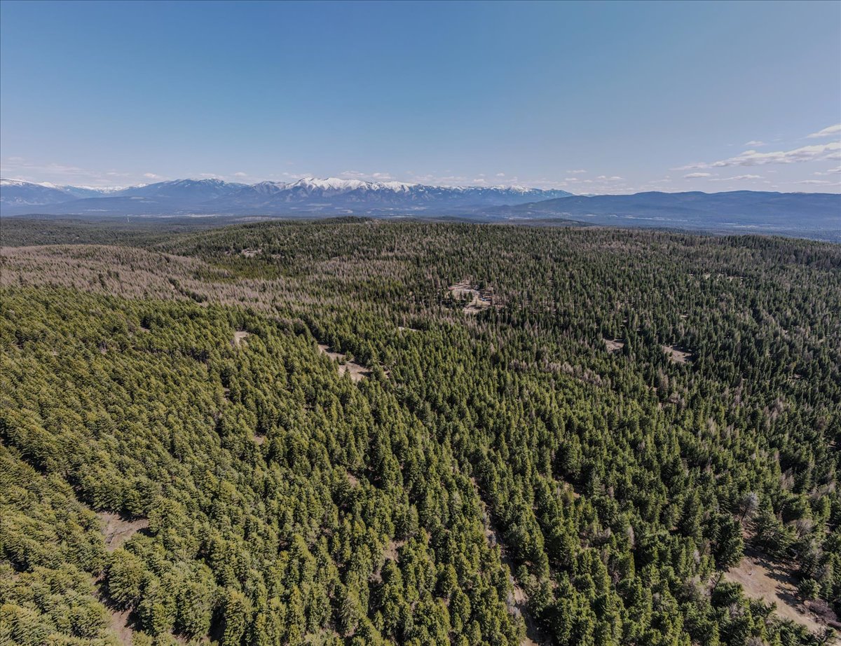 308 E Edna Mountain Road