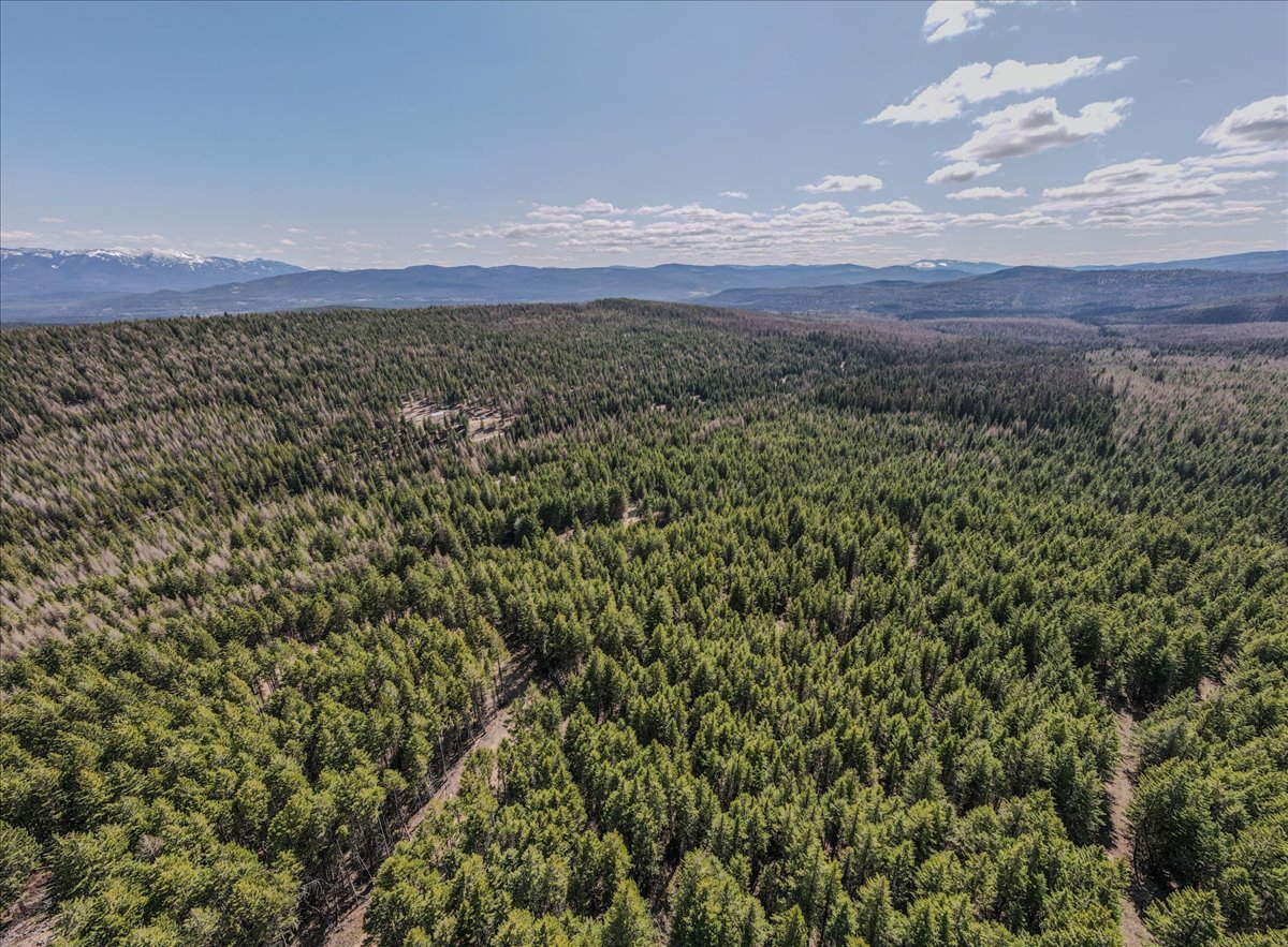 308 E Edna Mountain Road
